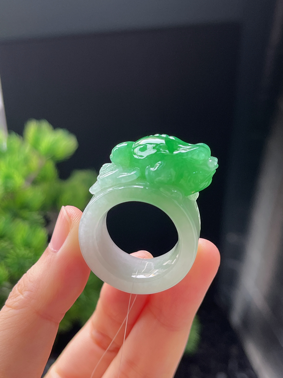 翡翠阳绿蟾蜍扳指