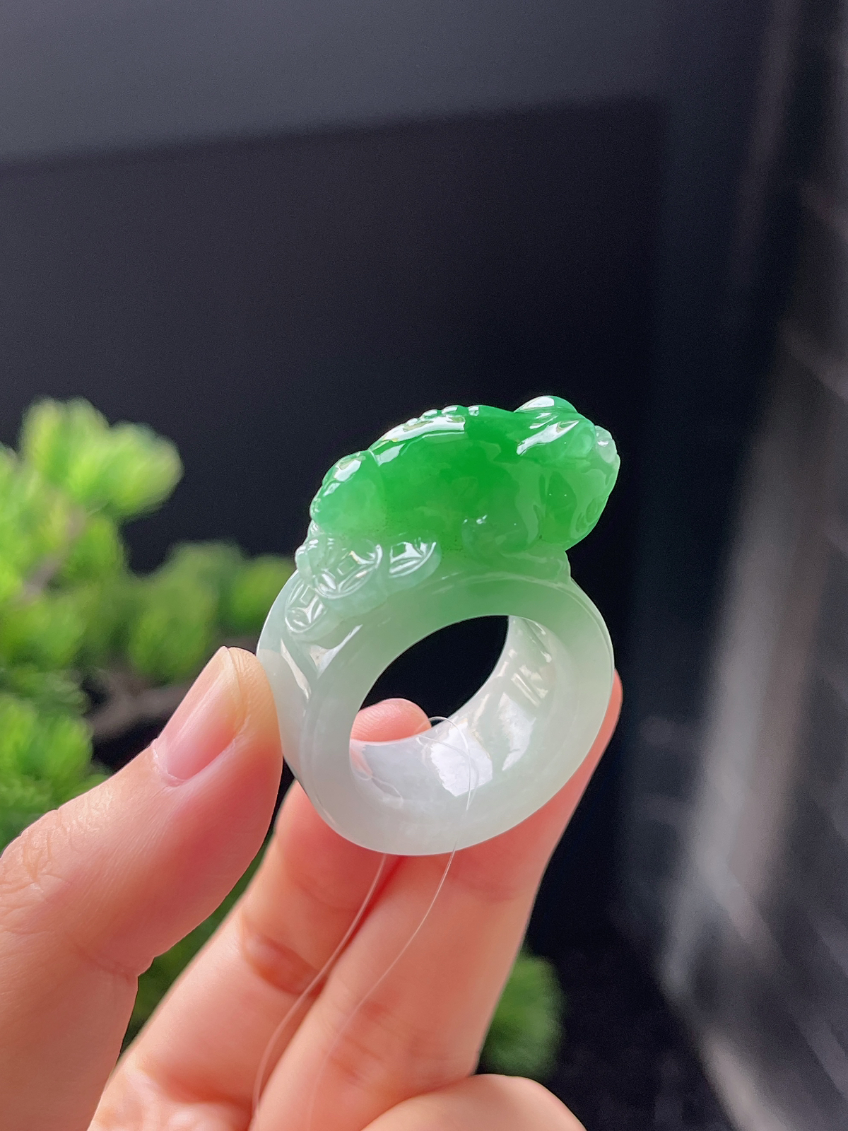 翡翠阳绿蟾蜍扳指