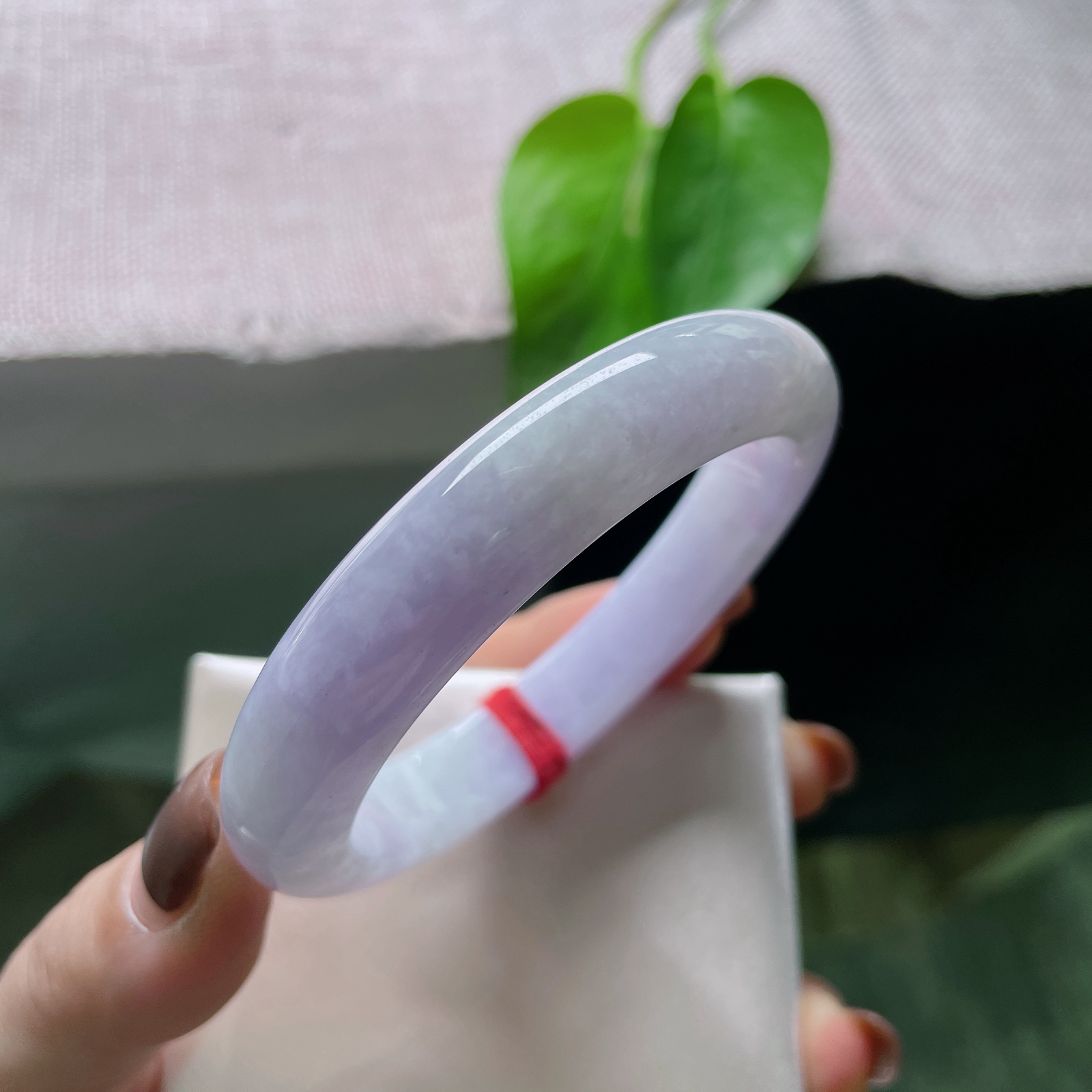 特惠活动#56.2/11.8/8.8紫罗兰正圈，水润，刻在骨子里的柔美，温柔富贵风，ss55499a