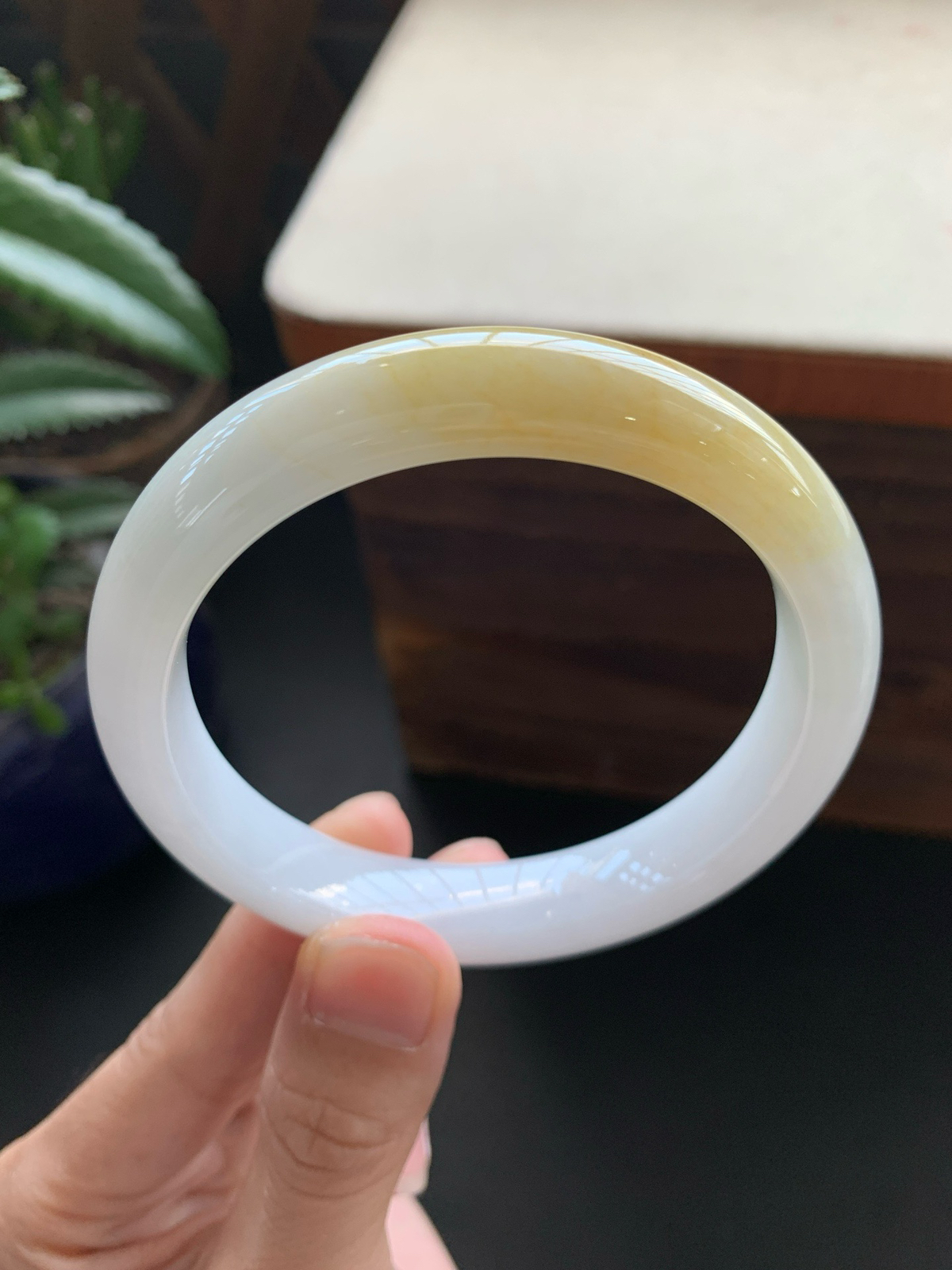 59.5圈口黄翡正圈手镯