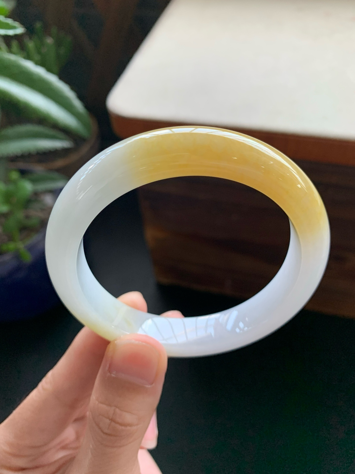 57圈口黄翡正圈手镯