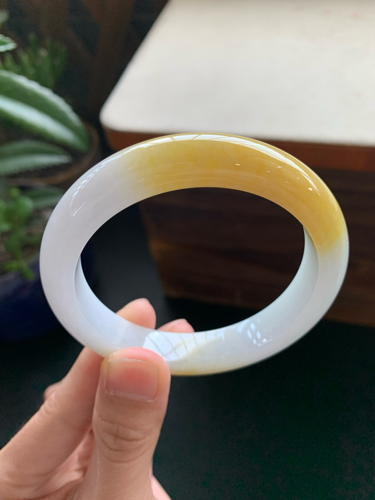 57圈口黄翡正圈手镯