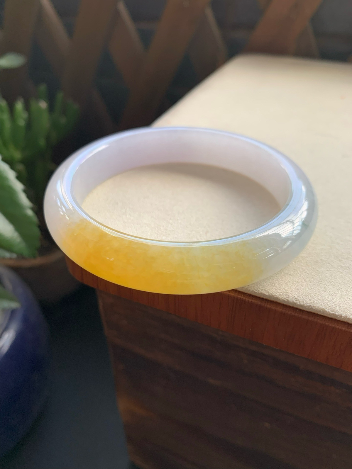 57.7圈口飘黄翡正圈手镯