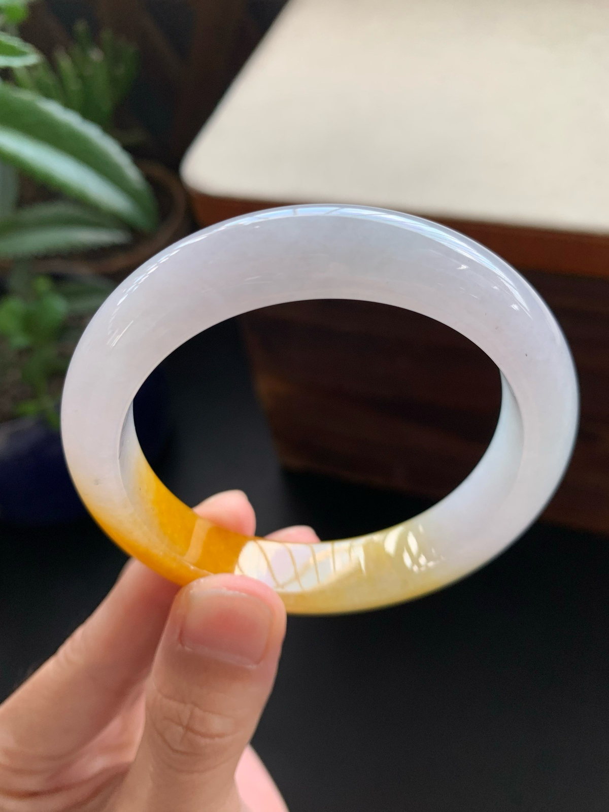 55圈口鸡油黄正圈手镯