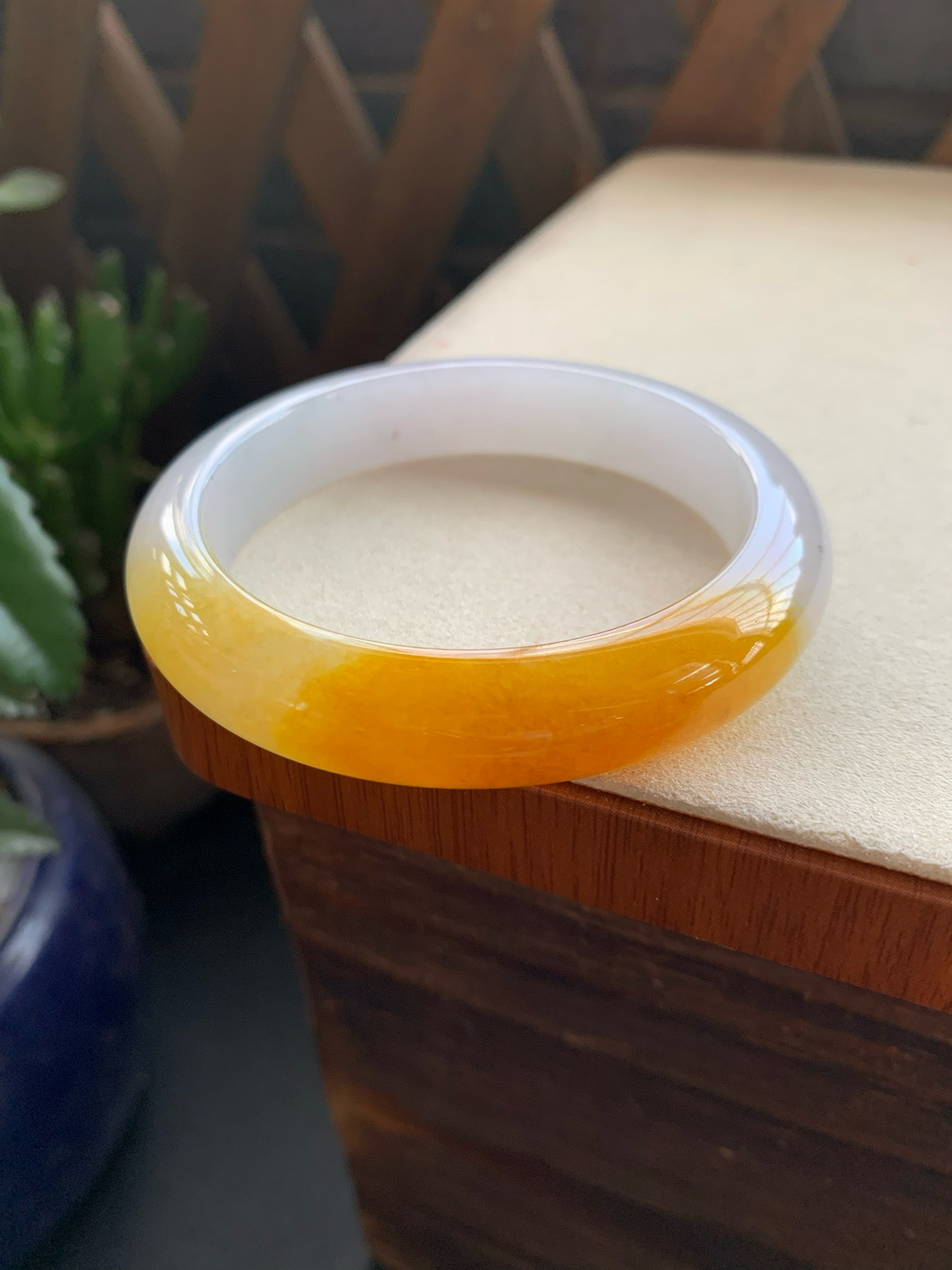 55圈口鸡油黄正圈手镯