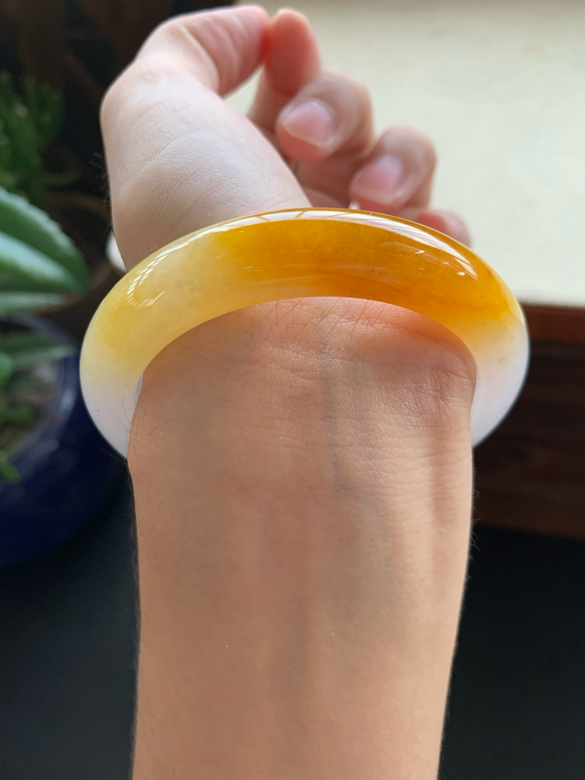 55圈口鸡油黄正圈手镯