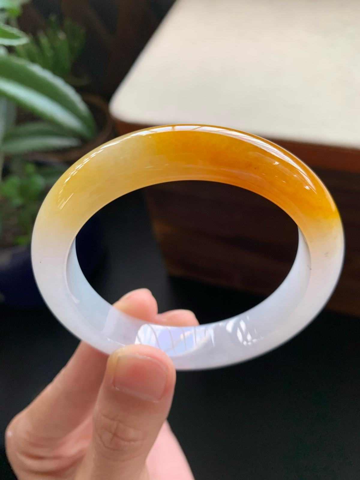 55圈口鸡油黄正圈手镯
