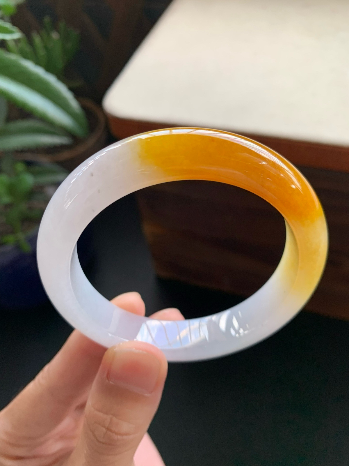 55圈口鸡油黄正圈手镯