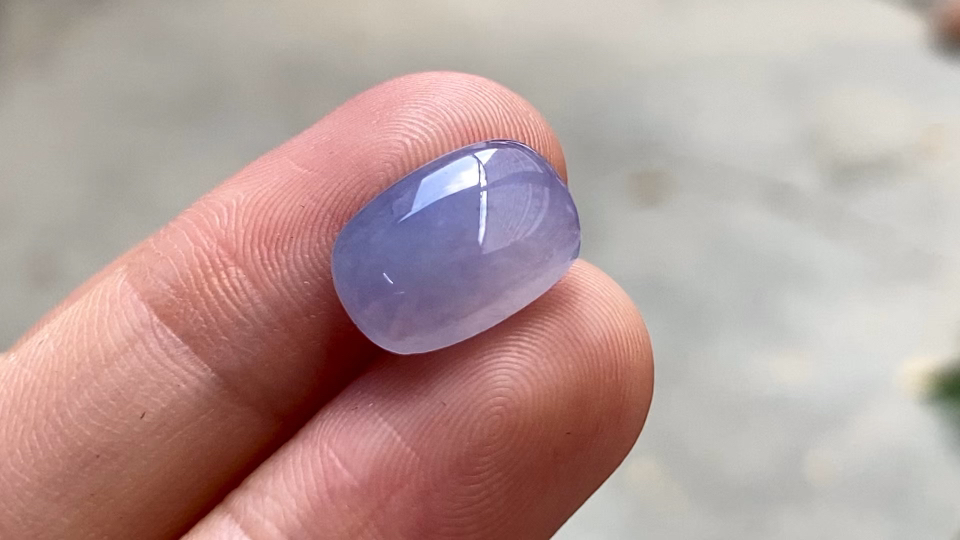 ️ 红春紫马鞍 完整
