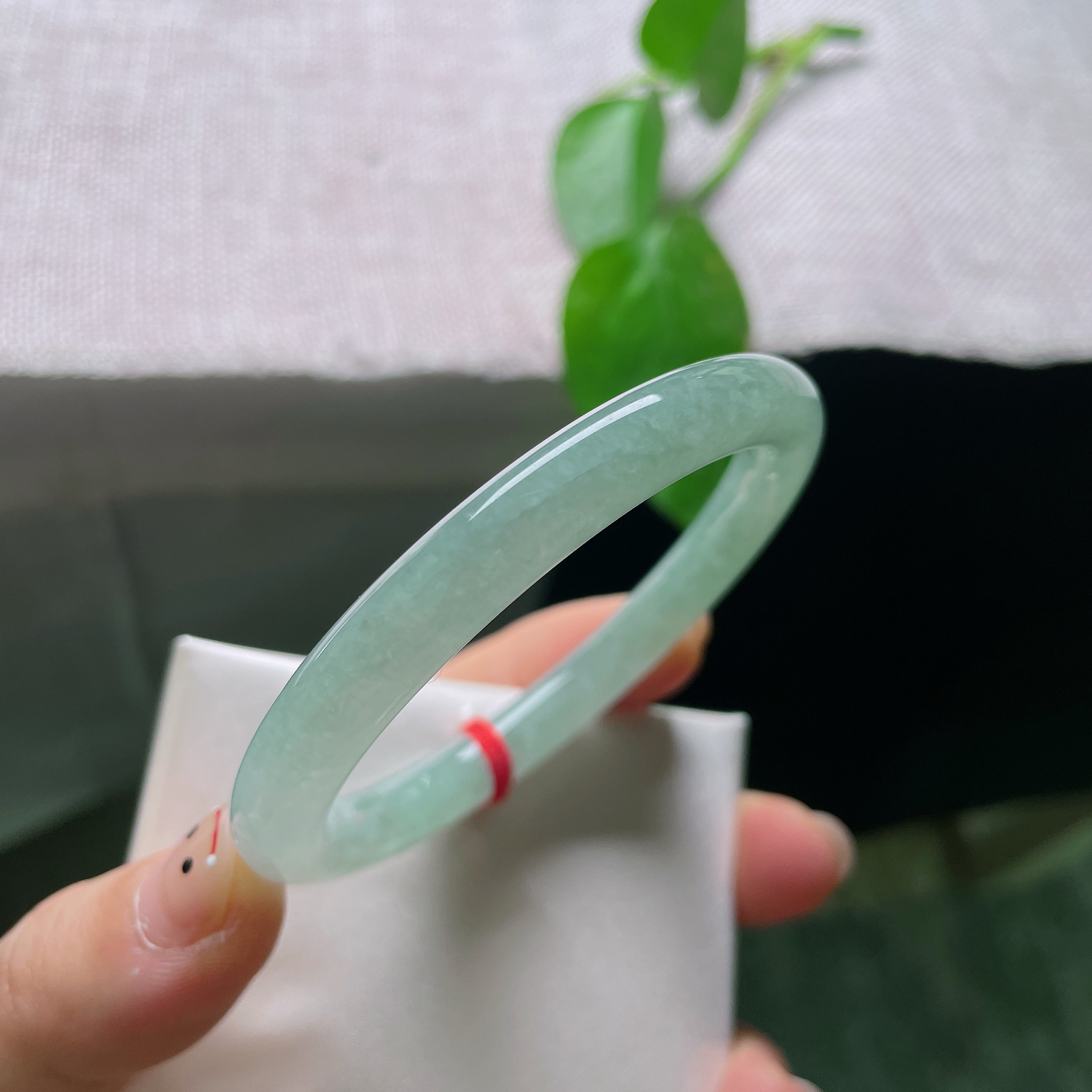 54/7.8，晴绿圆条，美人条，晶莹玉透，种老，水光潋滟，温婉，皮纹，ss55888a