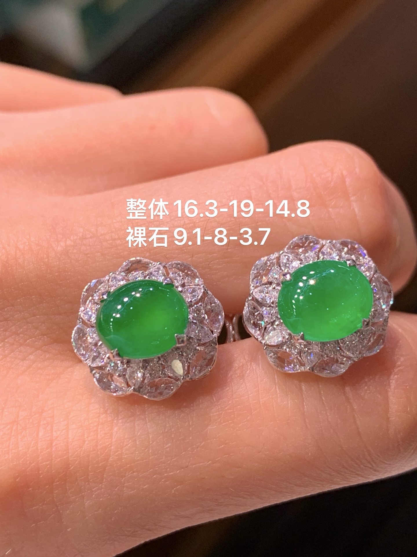 ️ 正阳绿满种满色蛋面耳包 美货推荐，16.3-19-14.8