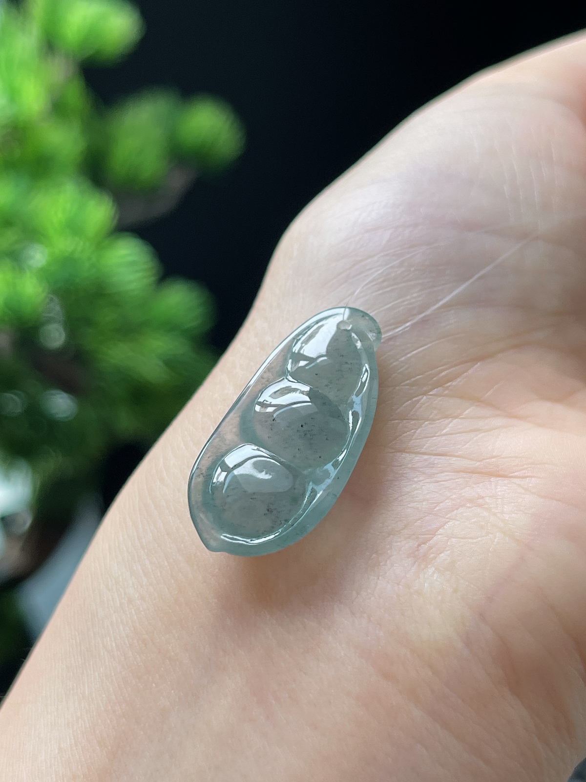 翡翠冰糯种淡蓝色福豆