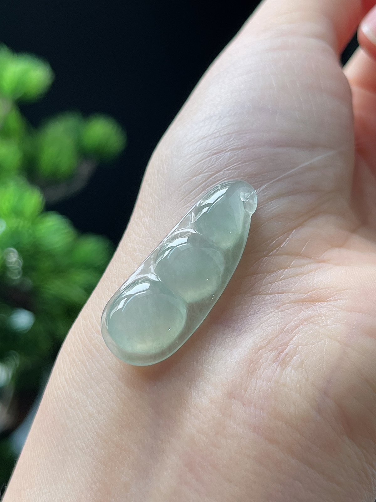 翡翠冰糯种淡绿色福豆