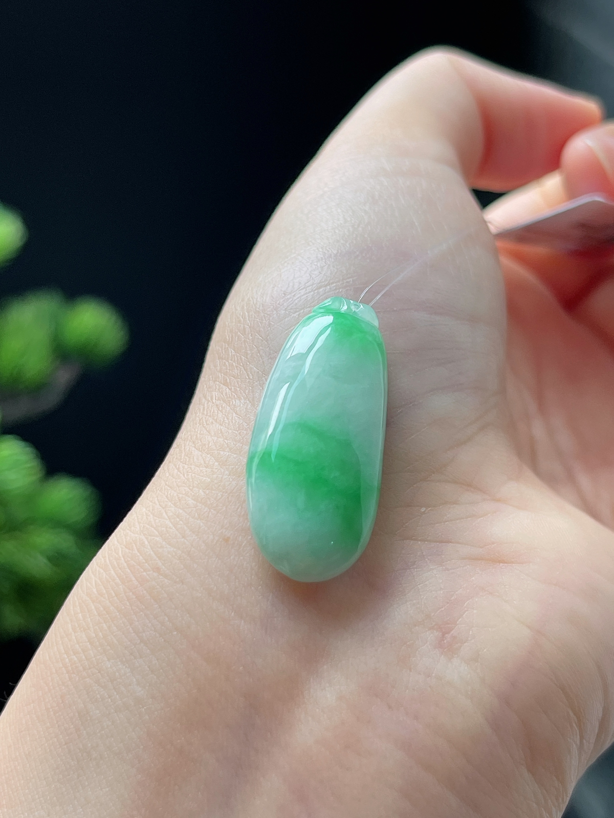 翡翠糯化种飘花福瓜