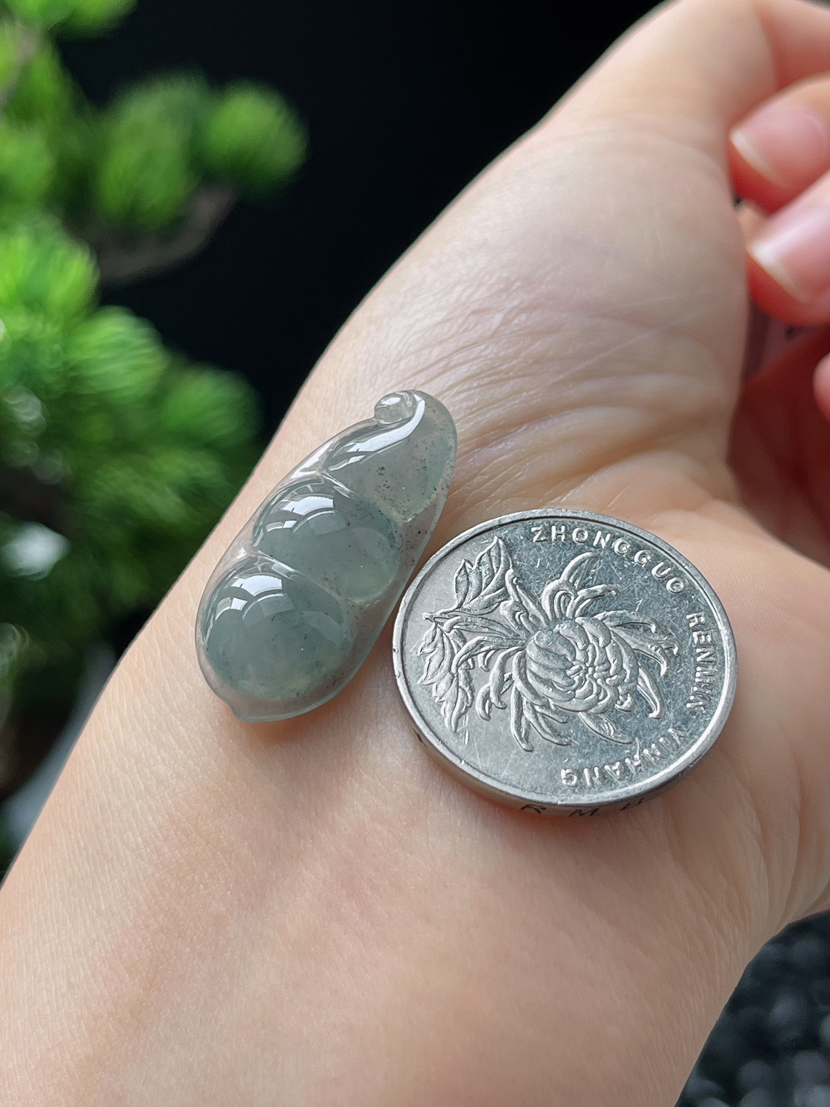 翡翠冰糯种淡蓝色福豆