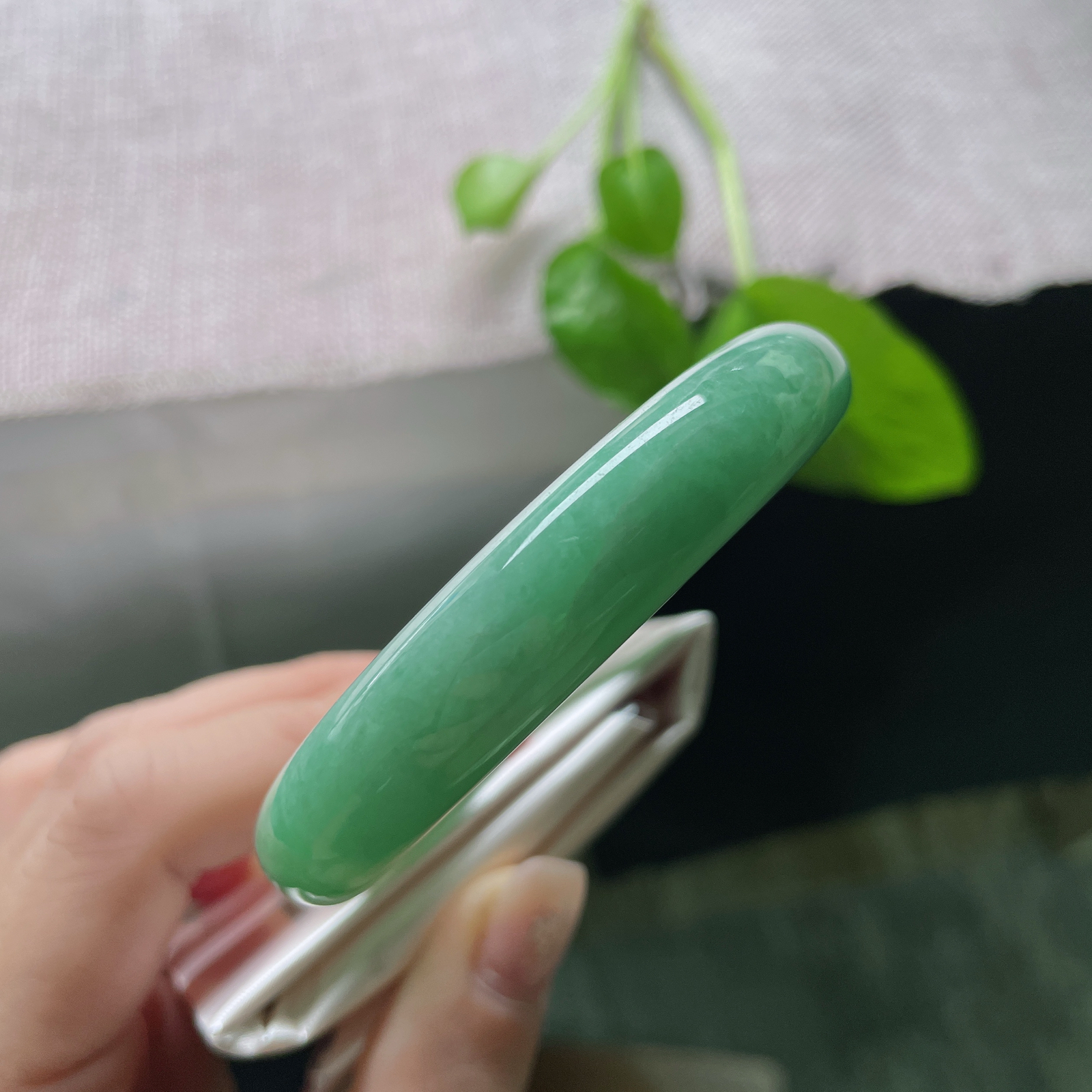55.6/12.2/8.2，绿底正圈，满色，青春洋溢，种老，细腻，小清新，皮纹，ss54030a
