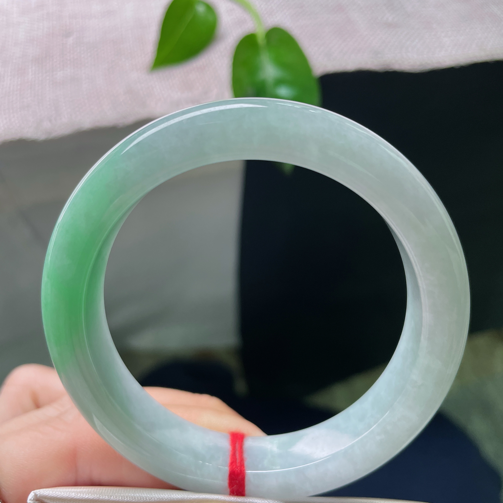 54.6/12.4/8.7，春彩正圈，绿意流转，如春水初生。双色交汇，意蕴深长，ss55629a