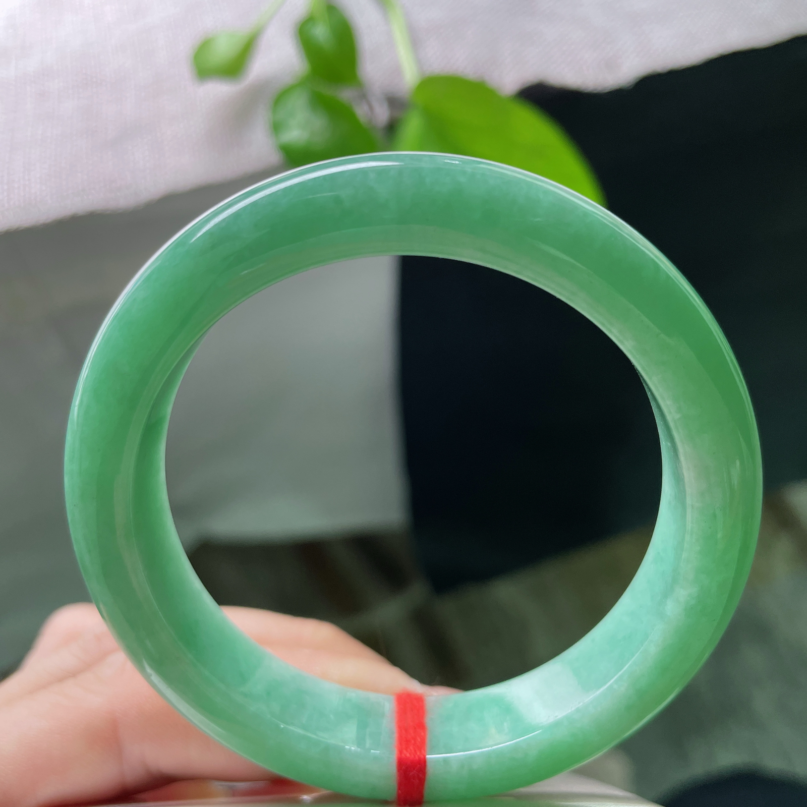 55.6/12.2/8.2，绿底正圈，满色，青春洋溢，种老，细腻，小清新，皮纹，ss54030a