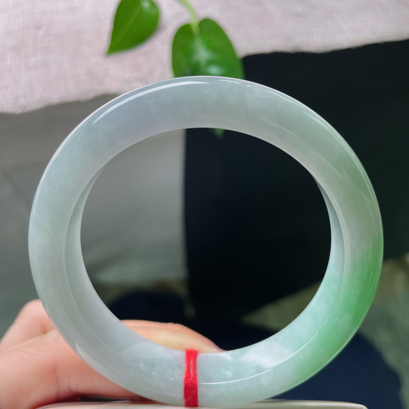 54.6/12.4/8.7，春彩正圈，绿意流转，如春水初生。双色交汇，意蕴深长，ss55629a