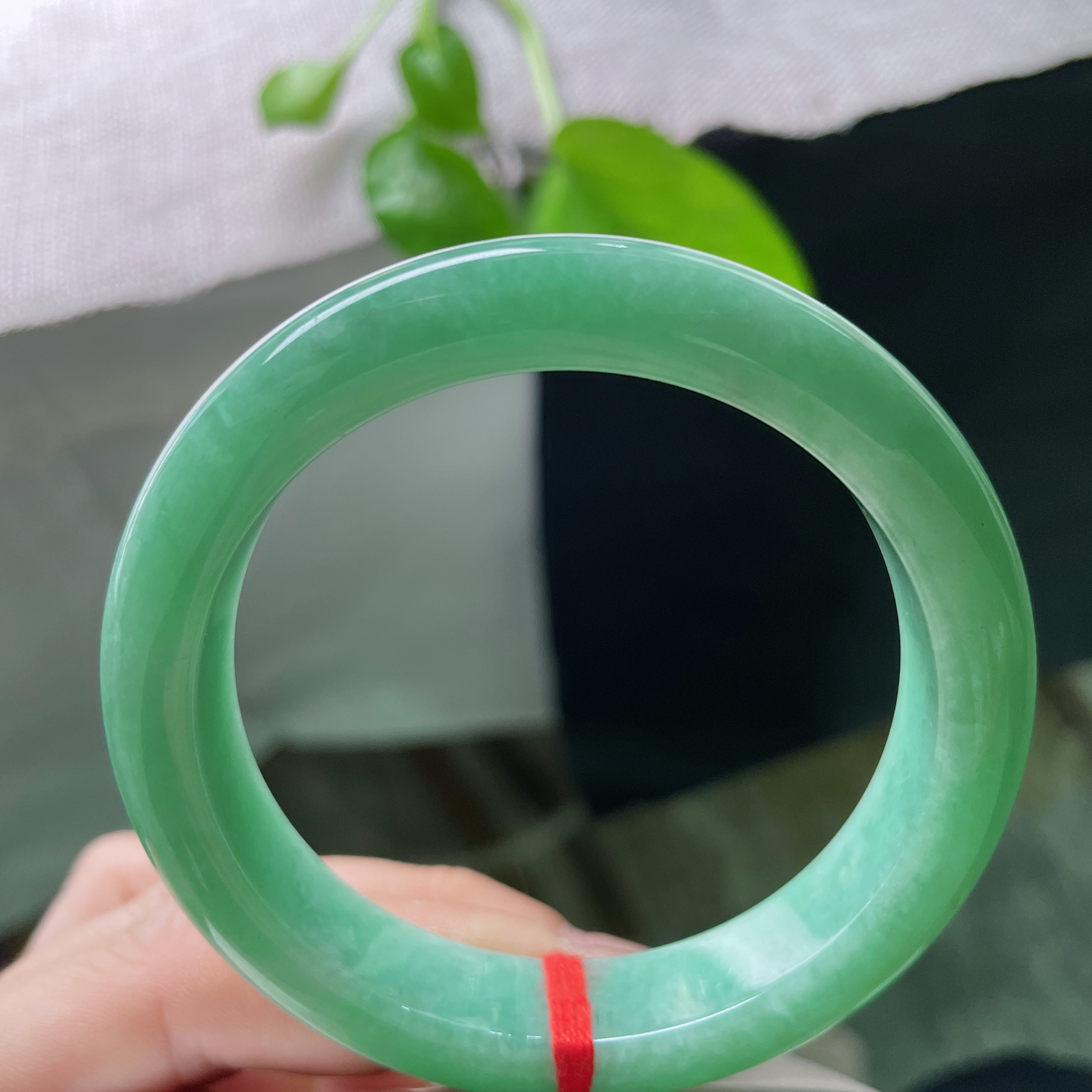 55.6/12.2/8.2，绿底正圈，满色，青春洋溢，种老，细腻，小清新，皮纹，ss54030a