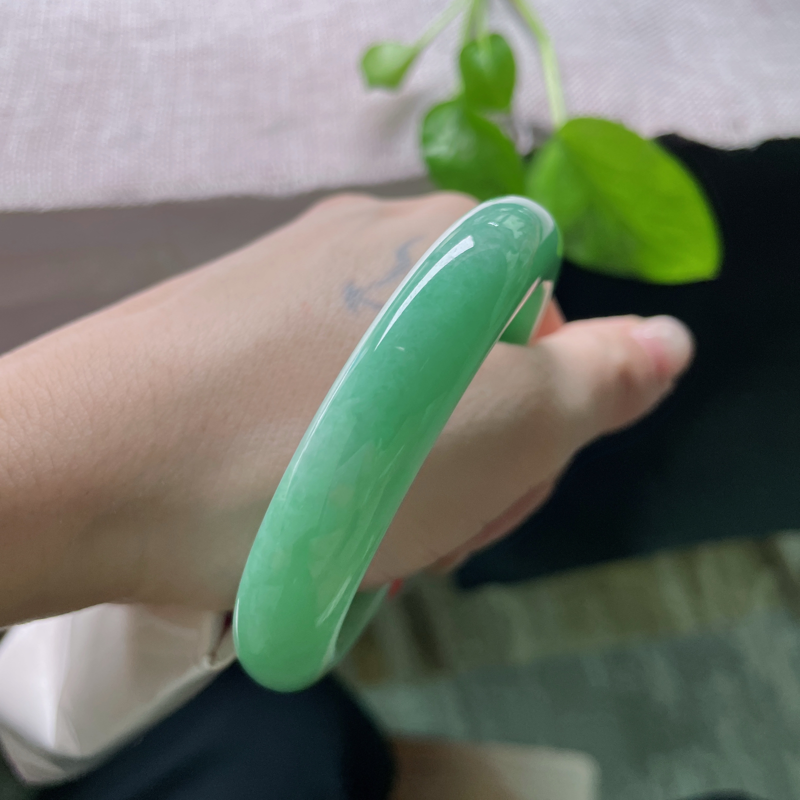 55.6/12.2/8.2，绿底正圈，满色，青春洋溢，种老，细腻，小清新，皮纹，ss54030a