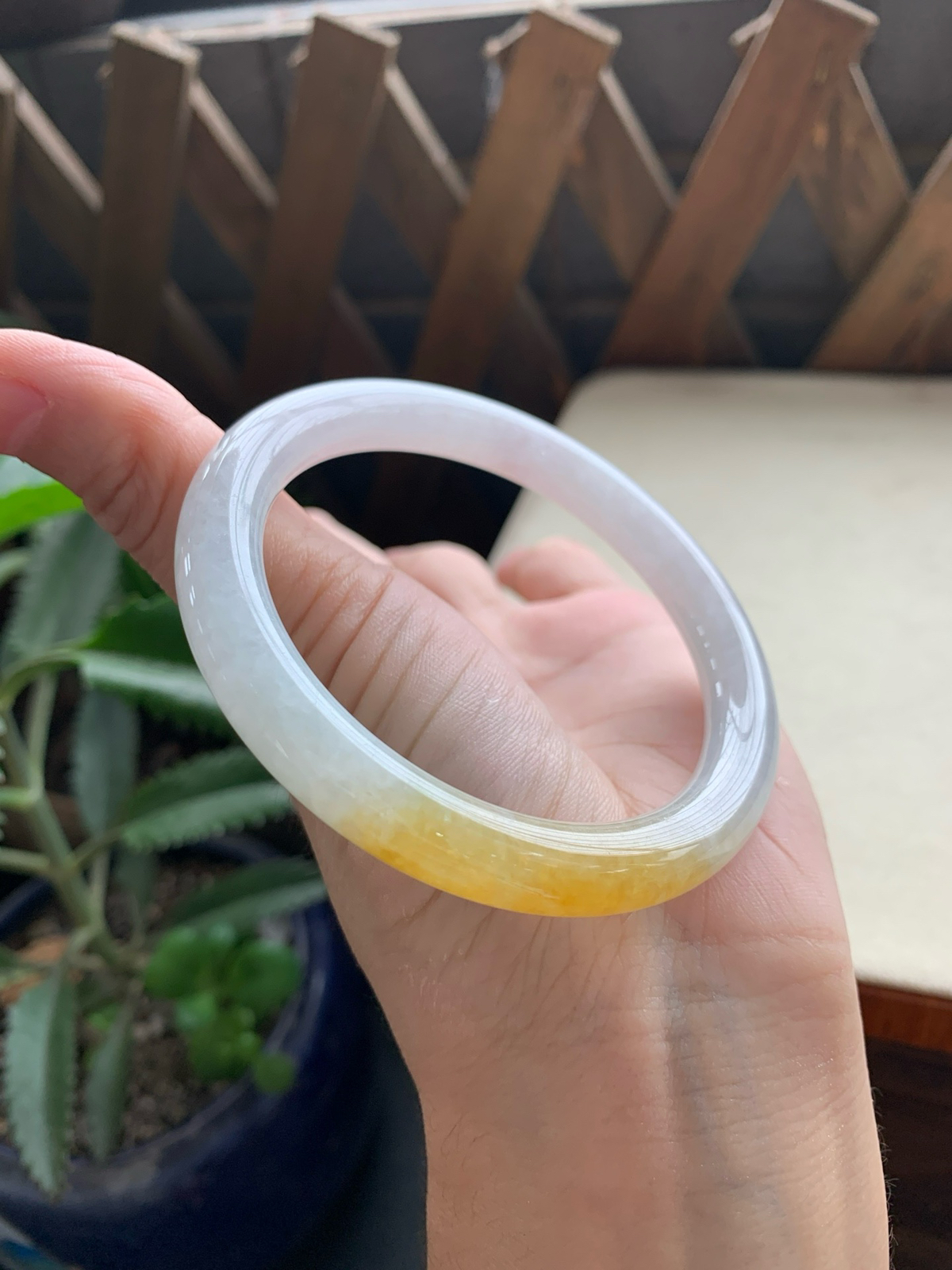 56.9圈口黄翡圆条手镯