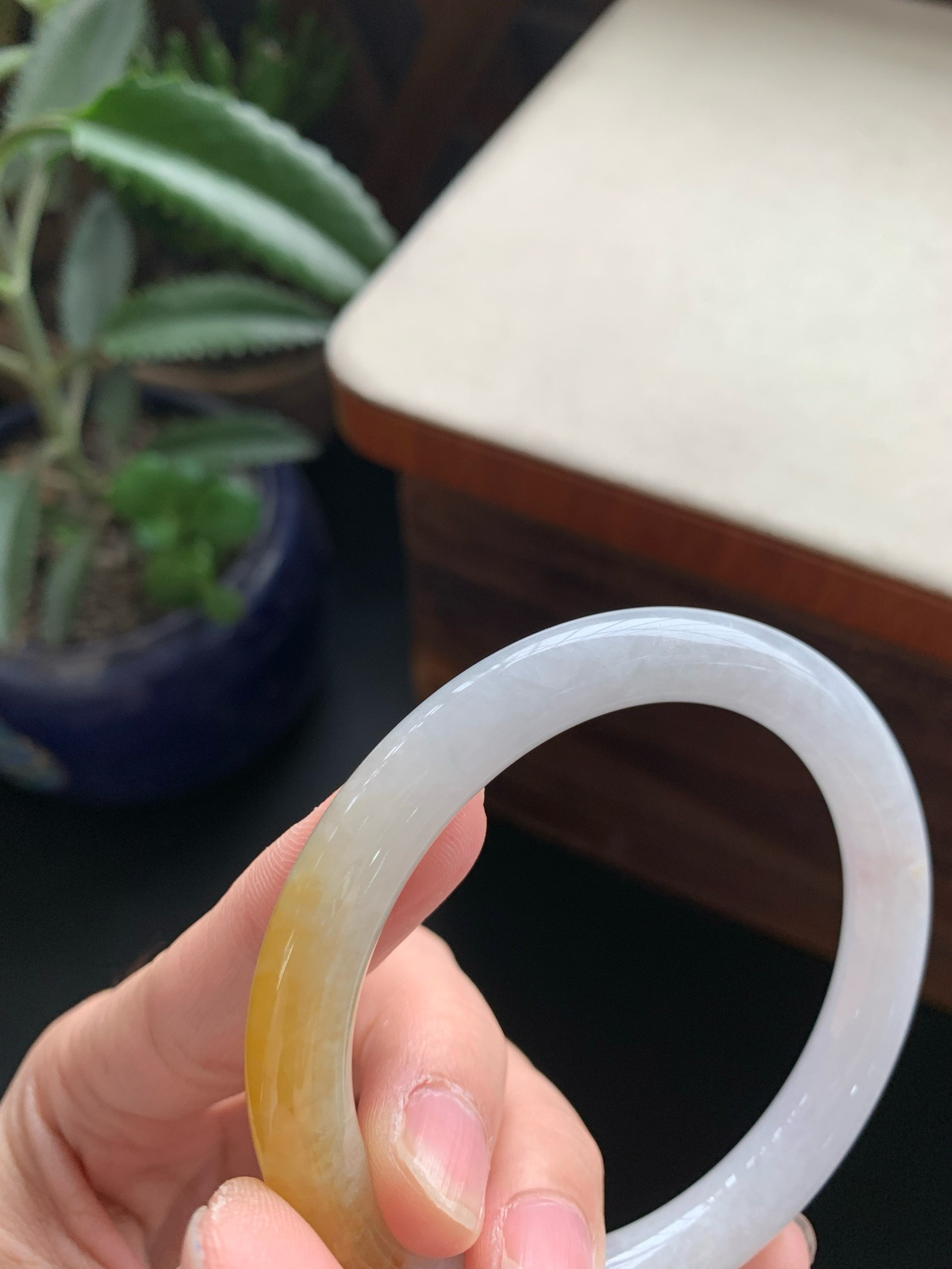 56.9圈口黄翡圆条手镯