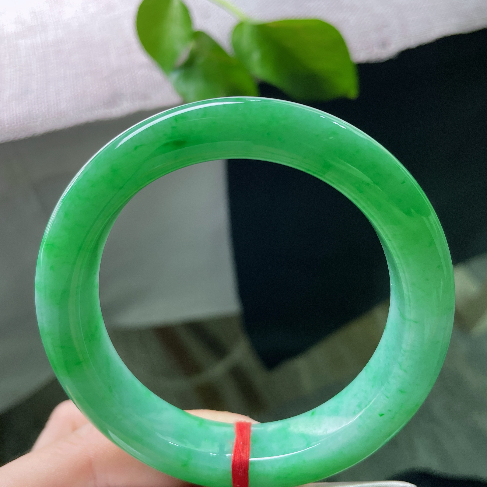 58.9/13.1/10.2，满绿正圈，碧色漫盈玉骨，芳华不染尘埃，抬手皆是盎然意，落腕尽是满堂春s