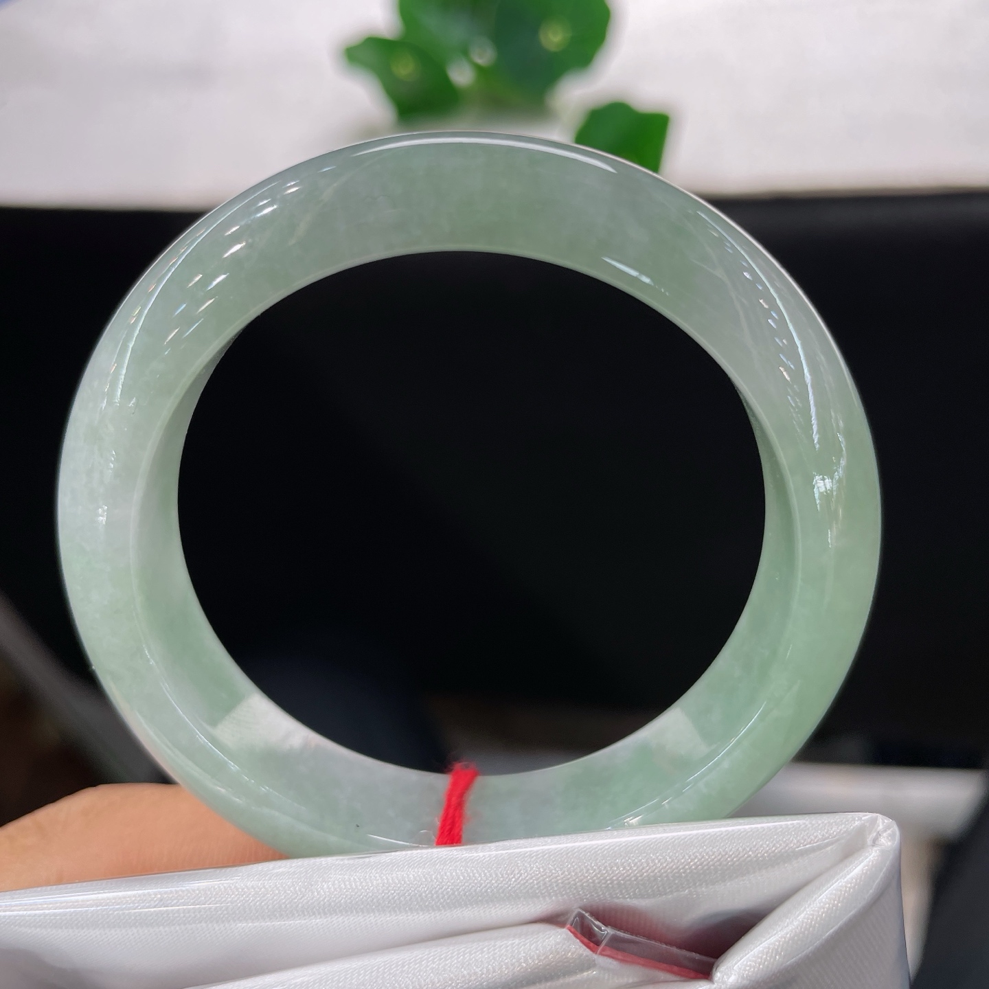 圈口51/12.2/8.0，绿底正圈，50/51可戴，清润湖绿，藏住半生温柔，无裂