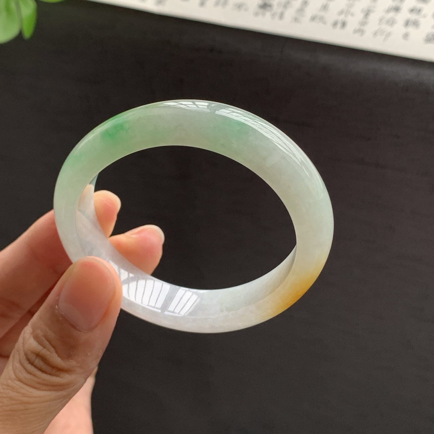 071714FN 双彩翡翠手镯