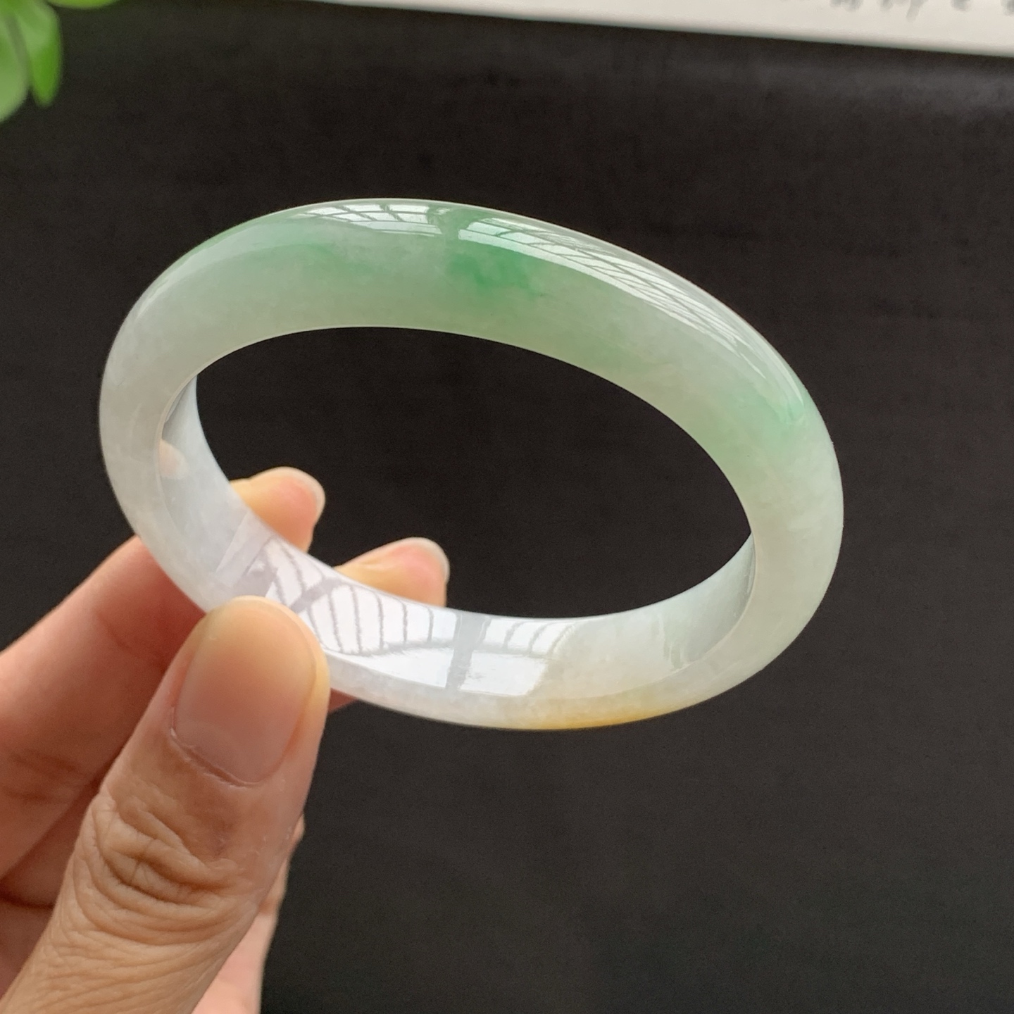 071714FN 双彩翡翠手镯