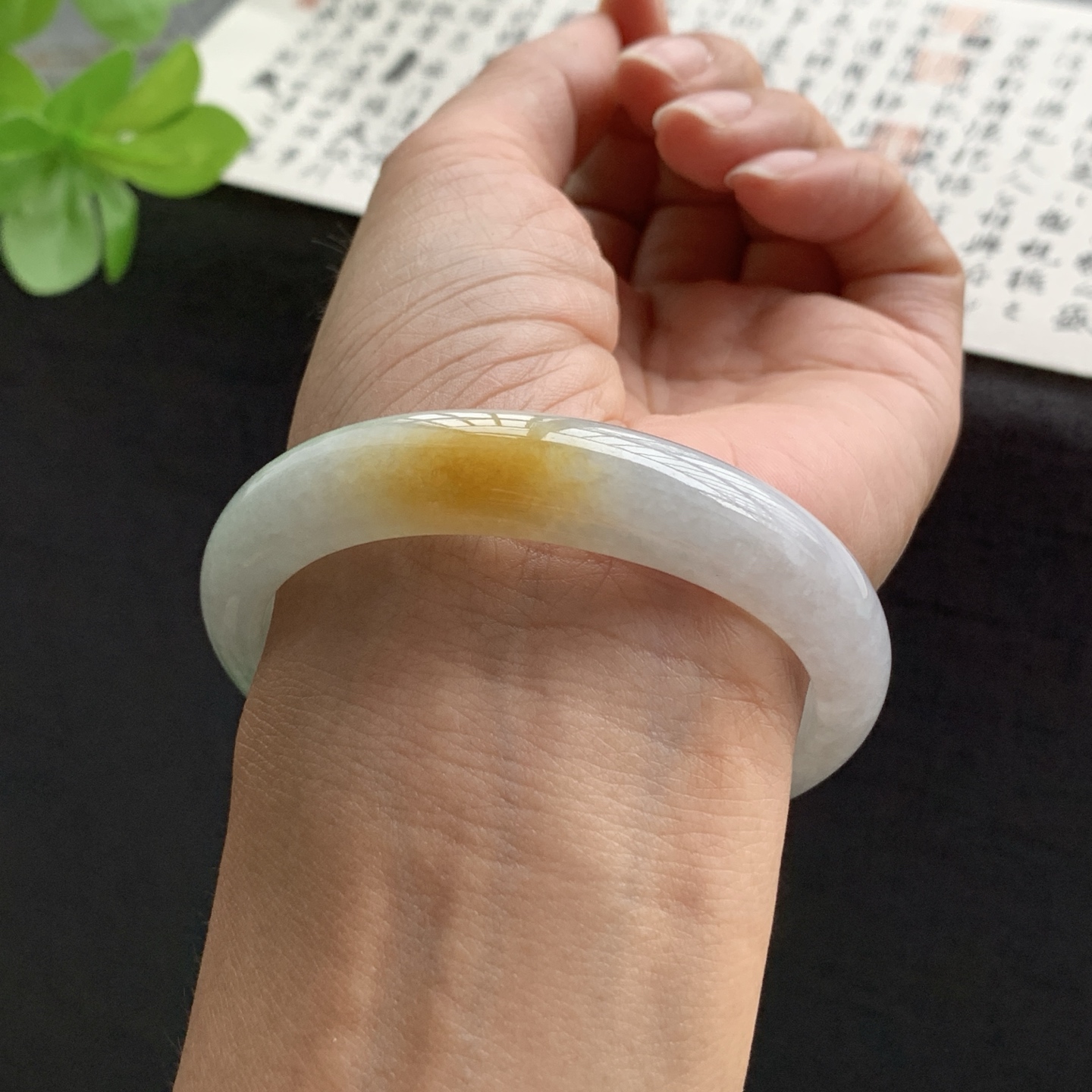 071714FN 双彩翡翠手镯