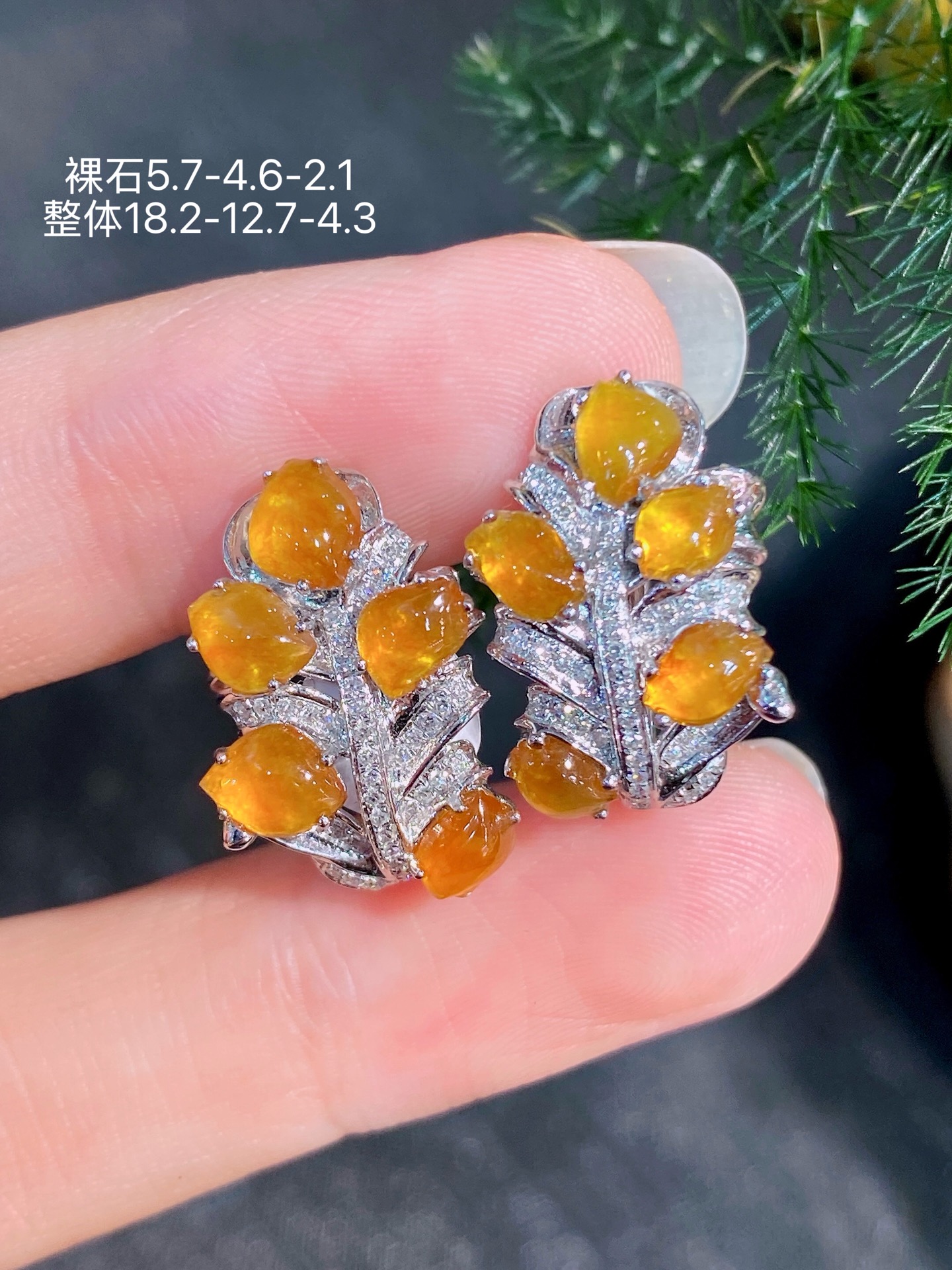 18K金镶  蜜糖黄随形耳包 无裂 水润色艳 品相饱满 苹果拍摄，实物更好看，5.7-4.6-2.1