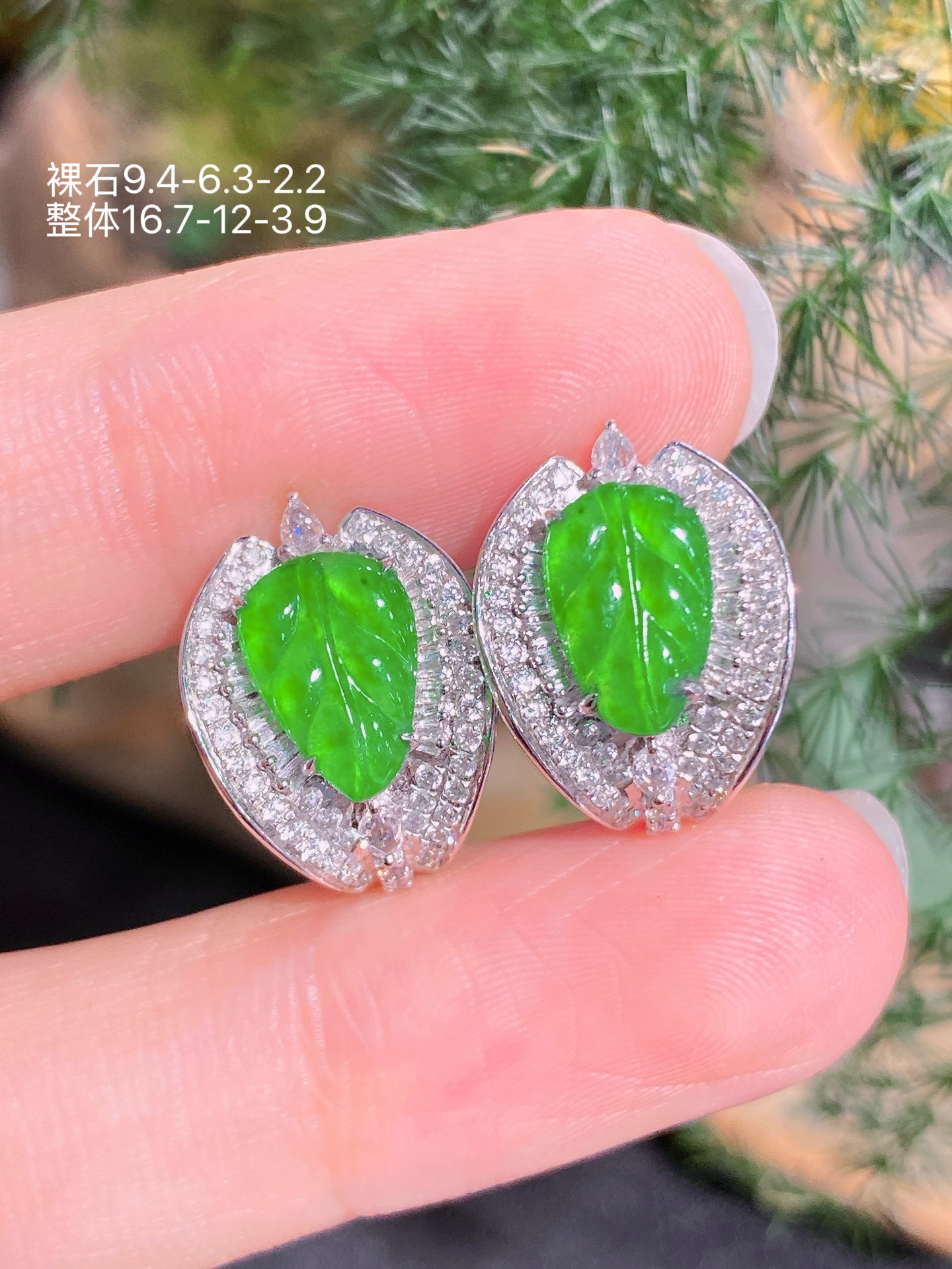 18K金镶 阳绿树叶耳包 水润色艳 品相饱满 苹果拍摄，实物更好看，9.4-6.3-2.2