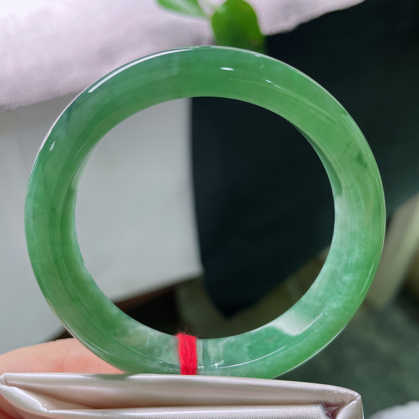 55.6/12.1/8.6，绿底，水润，细腻，优雅，贵气，耐看，一点棉纹，春色满园，贵气，ss56361a