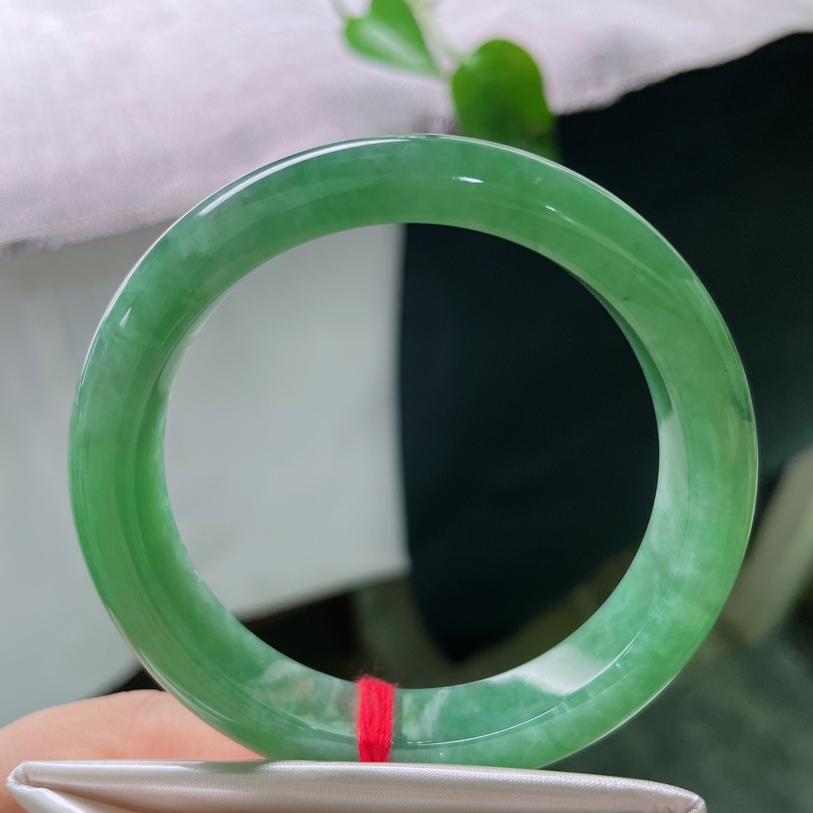 55.6/12.1/8.6，绿底，水润，细腻，优雅，贵气，耐看，一点棉纹，春色满园，贵气，ss563