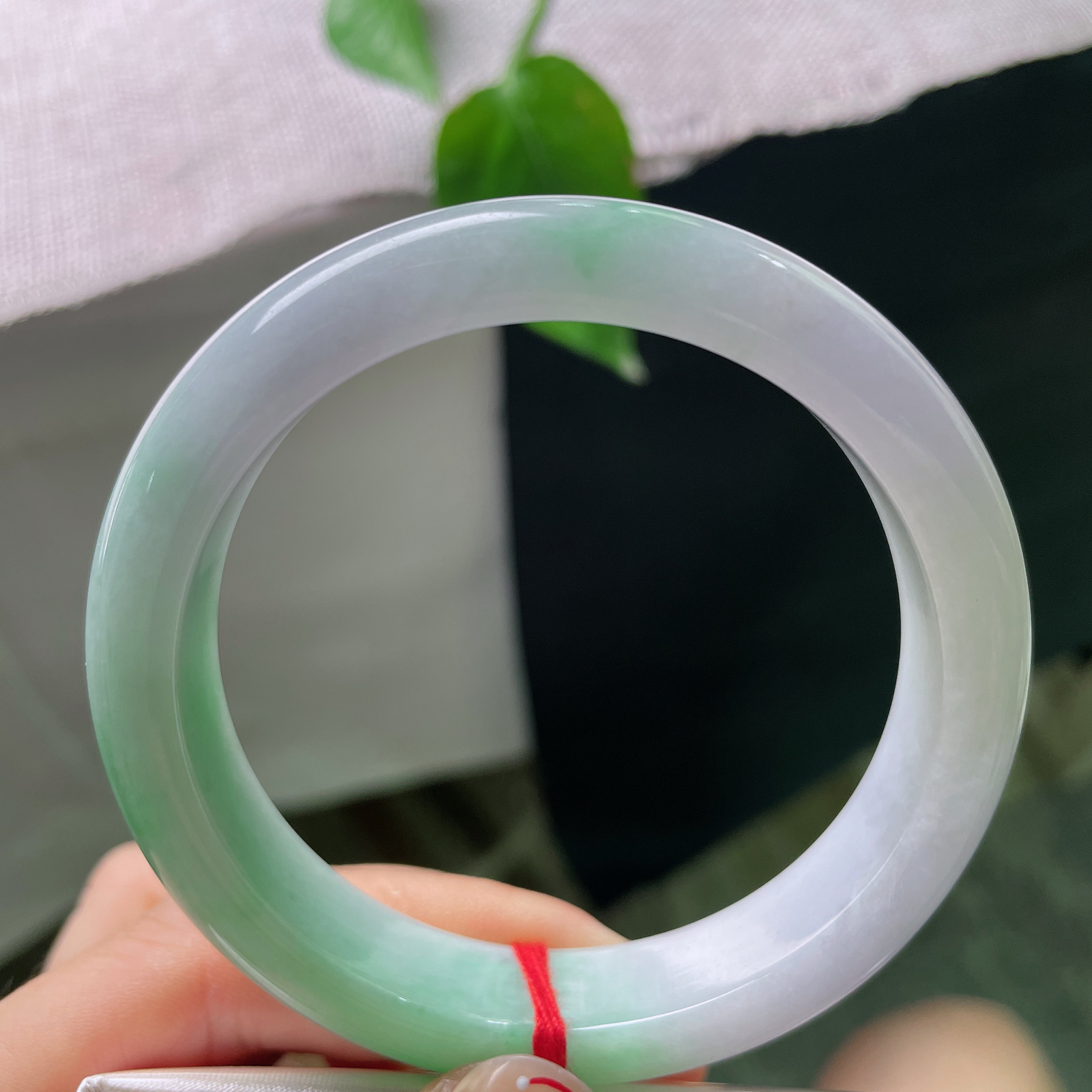 57.8/12.7/8.5，紫罗兰正圈，耐看，春色满园，郁郁葱葱，一点皮纹，！ss56449a