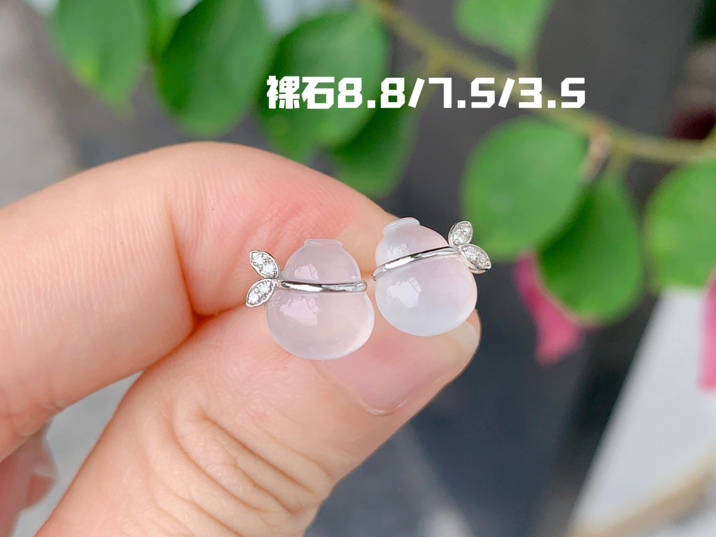 ️ 葫芦耳钉 冰透种水 清新雅致，8.8-7.5-3.5