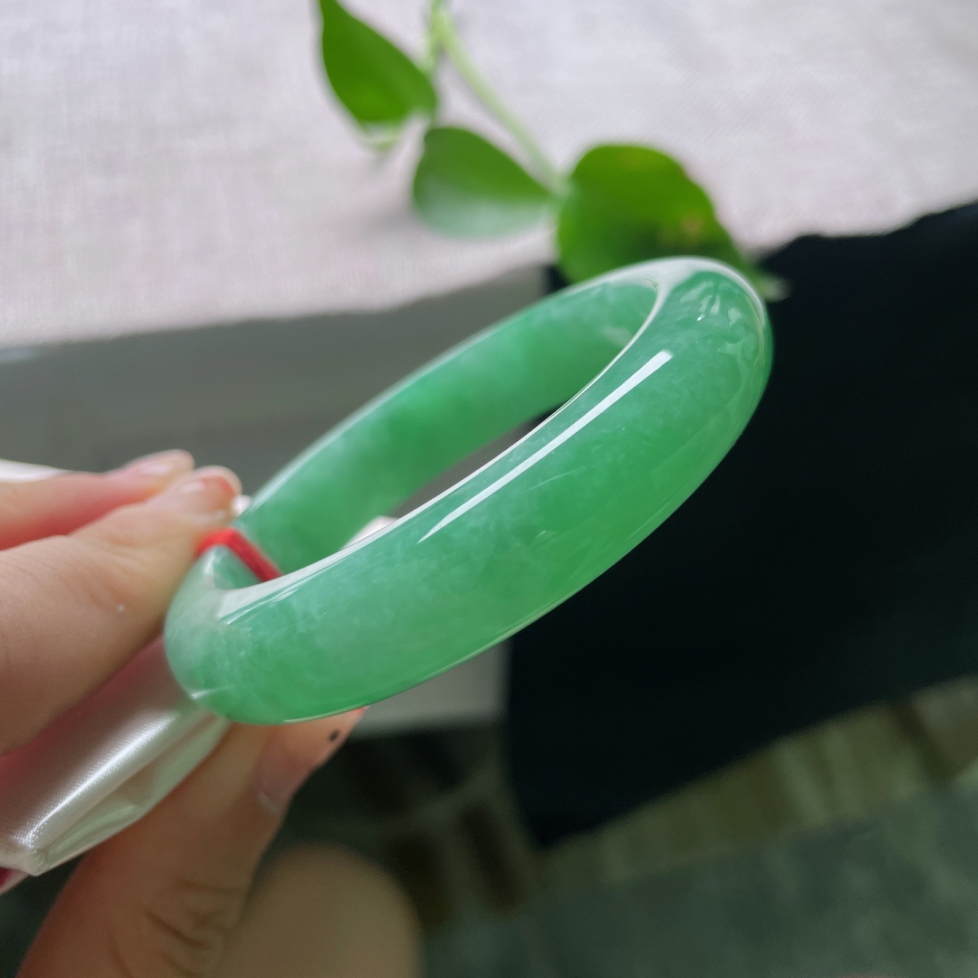 53.3/12.8/8.7，绿底正圈， 一镯盛满春日绿意，绿底温润浓郁，飘花点缀其间，中式氛围感拉满，无裂，ss56325a