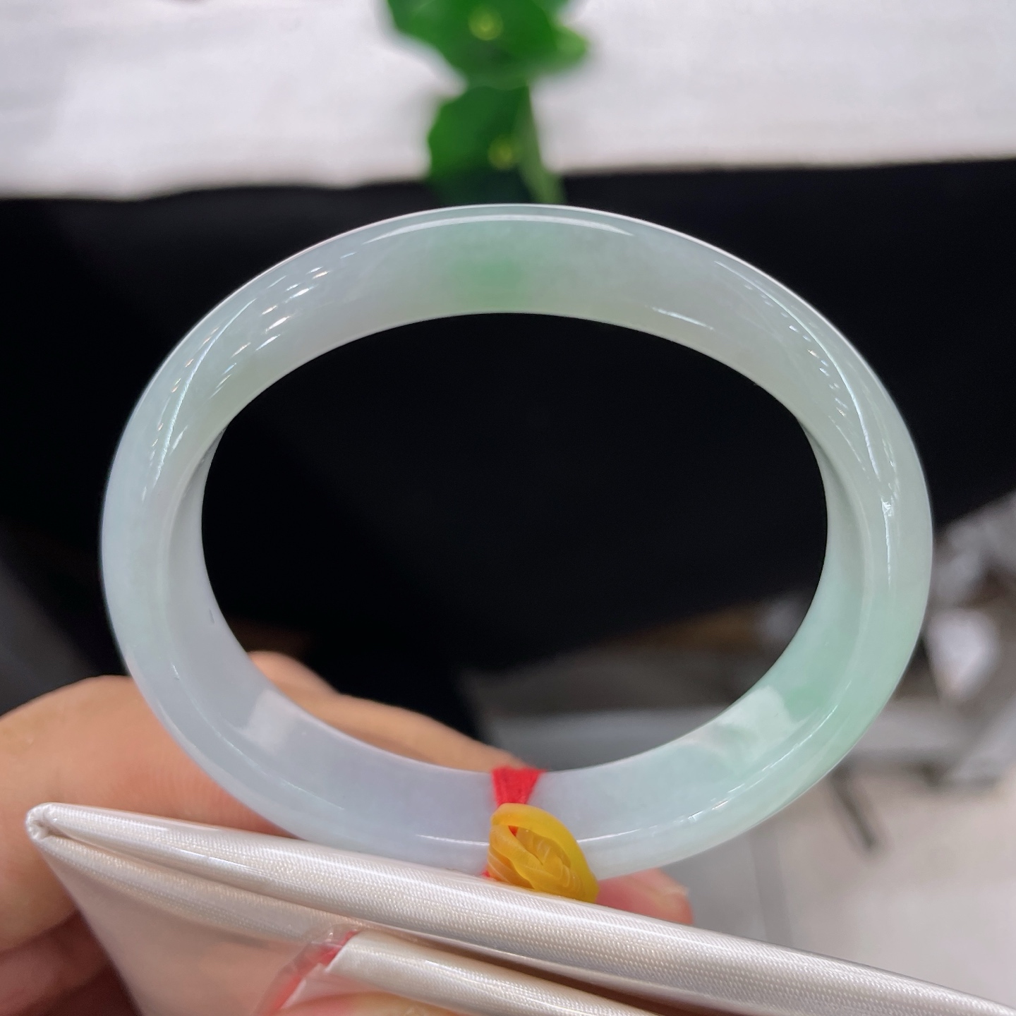 圈口53.6/12/6.6，淡绿底贵妃，52/53可戴，一抹柔翠静静晕在镯身，水光细腻温润，色彩清淡柔和，无裂