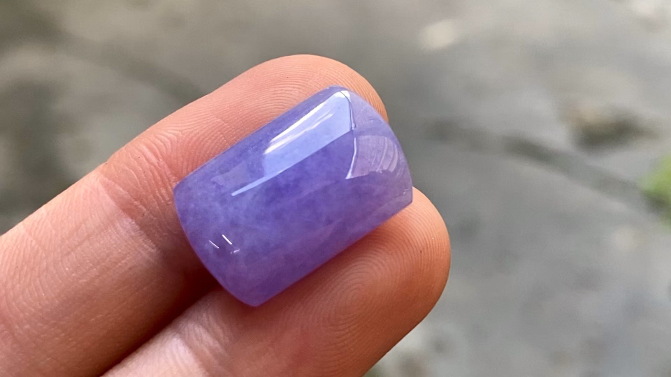 ️ 红春紫马鞍