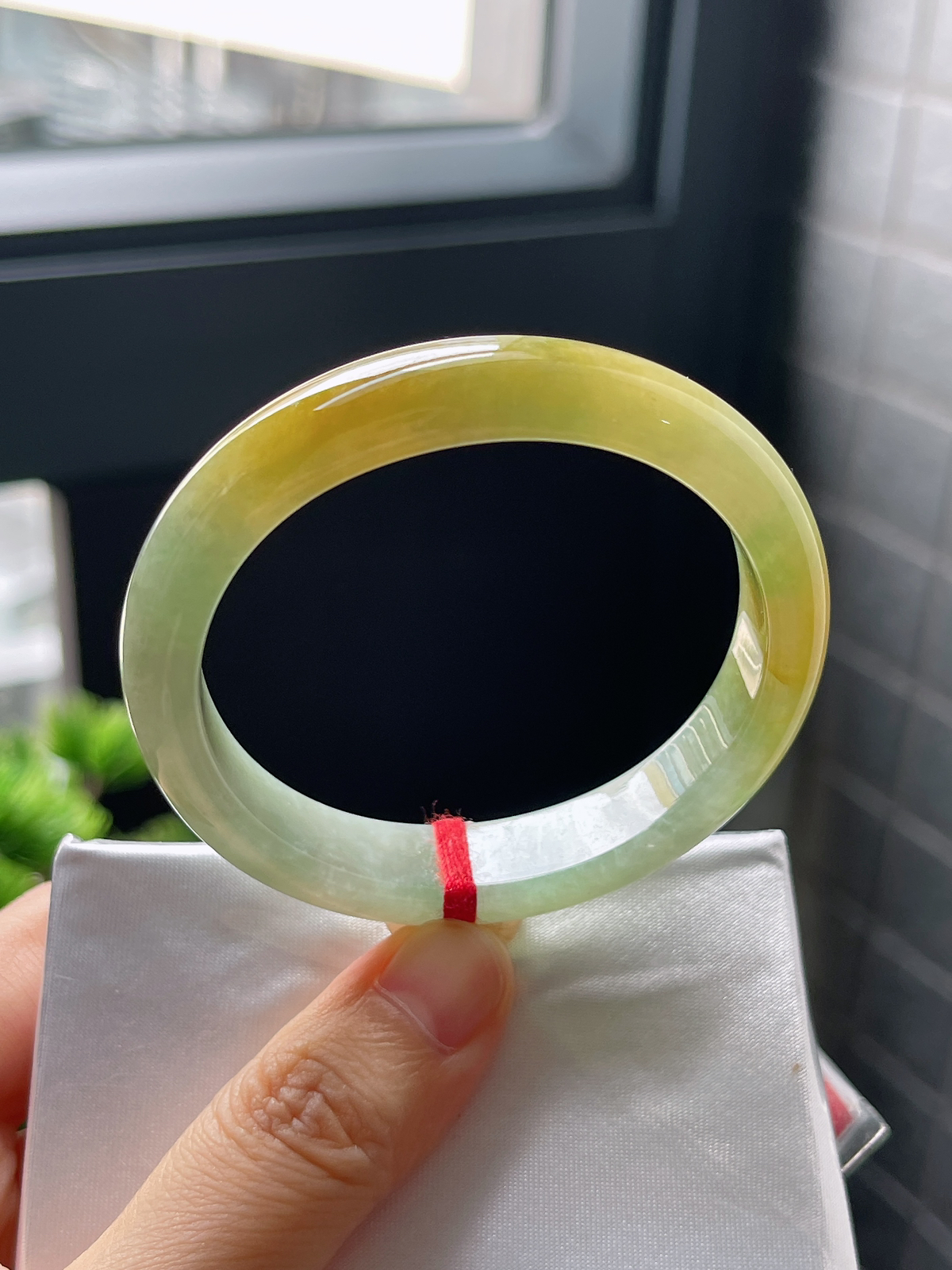 贵妃圈口51.3，冰糯种黄翡贵妃手镯