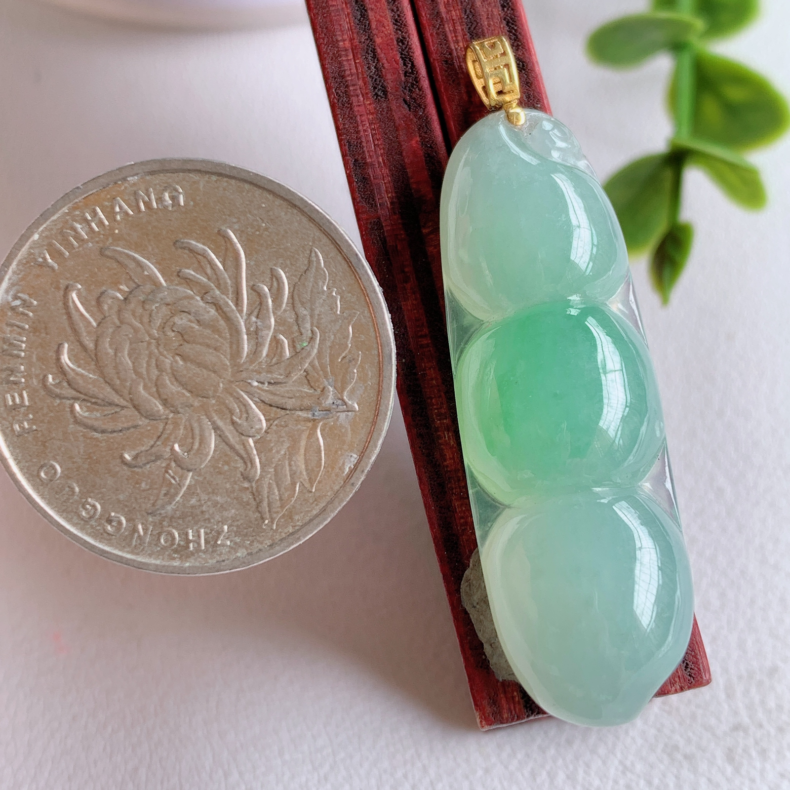 18k金冰润飘绿福豆翡翠挂件，老种飘花  冰清玉洁  胶感十足  寓意“四季平安，福气满满”颜色鲜艳，清新自然，饱满通透   W141.27  整体尺寸：44.5-12.3-6.8mm   裸石尺寸：39-12.3-6.8mm
