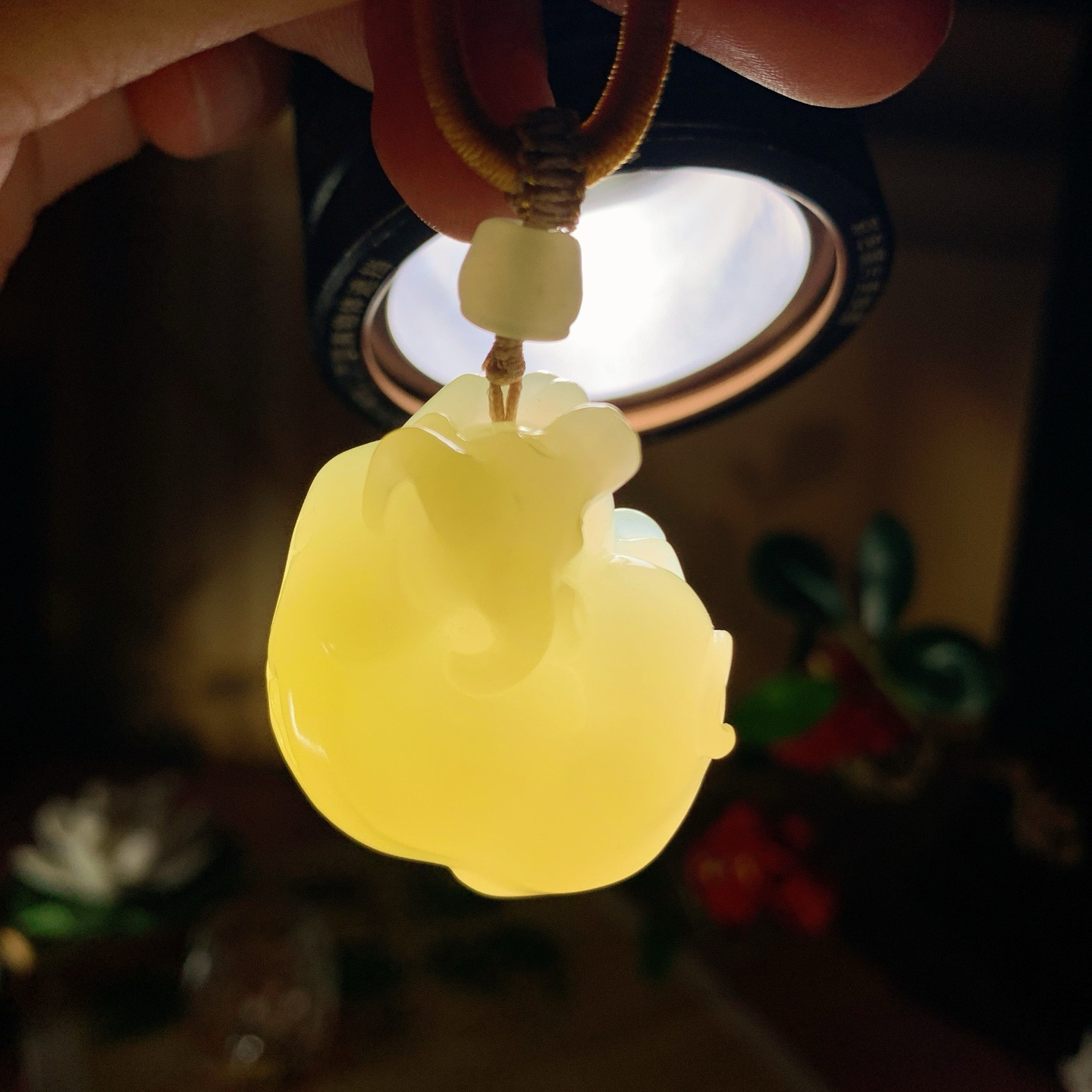 新疆若羌黄口料扭转乾坤牛挂件！尺寸35/29/18重33.5克 玉质细腻油润 底色纯净 脂粉好，品质好。lt260729