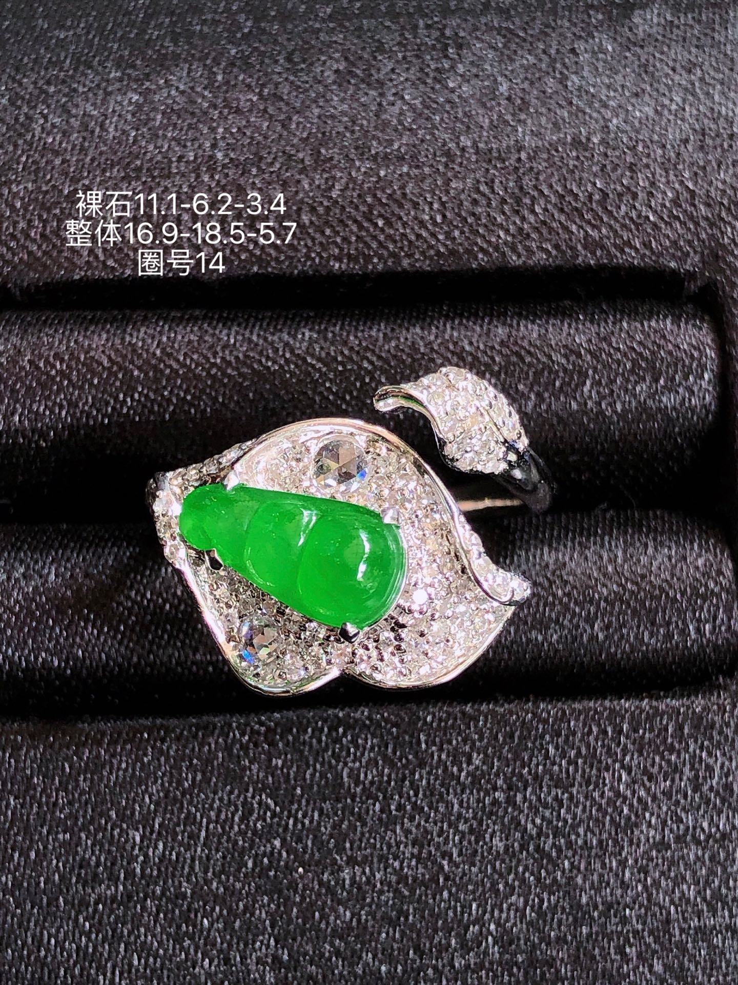 18K金镶 阳绿福豆戒指 无裂 水润色艳 品相饱满 苹果拍摄，实物更好看，111-6.2-3.4