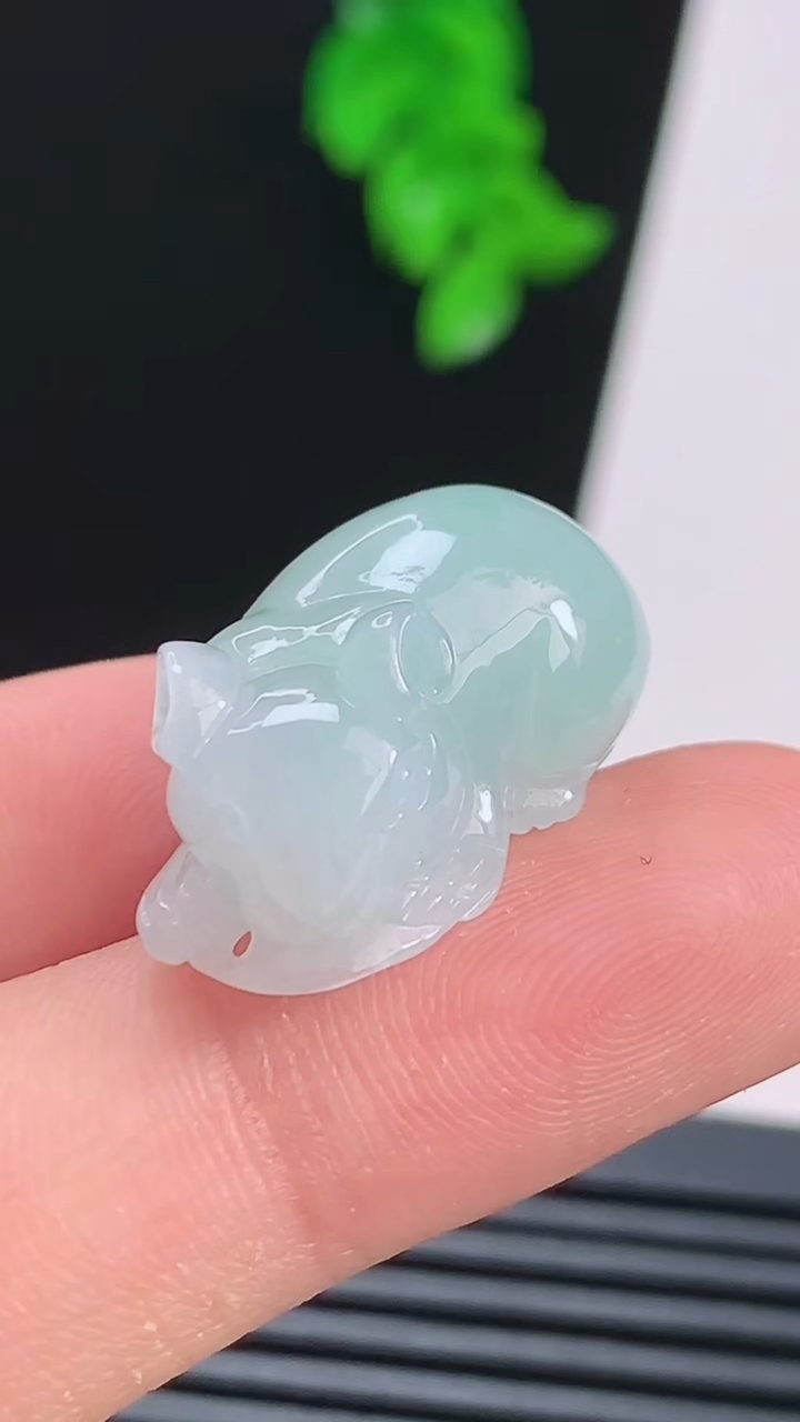 天然A货翡翠生肖鼠吊坠，尺寸24-13-11 重量:6.35g
8月21日