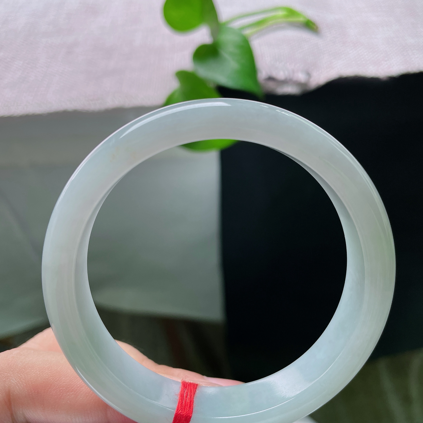 55/11.8/7.1，绿底正圈，棉线，色调素雅柔和，百搭休闲，日常通勤穿搭都适配。ss55677a