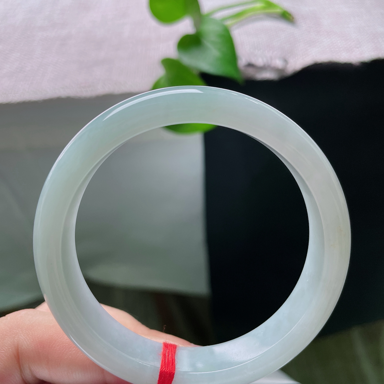 55/11.8/7.1，绿底正圈，棉线，色调素雅柔和，百搭休闲，日常通勤穿搭都适配。ss55677a。
