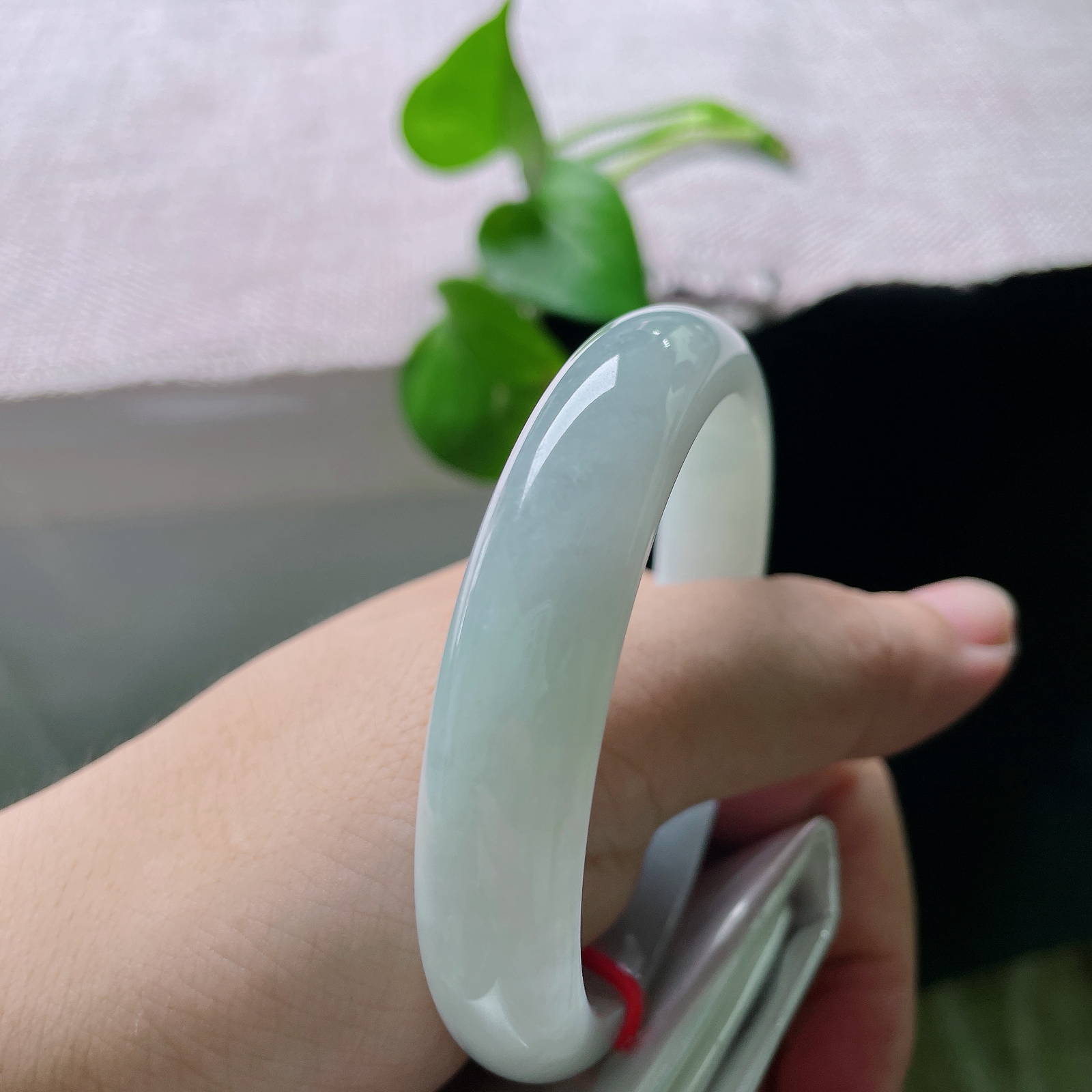 55/11.8/7.1，绿底正圈，棉线，色调素雅柔和，百搭休闲，日常通勤穿搭都适配。ss55677a。
