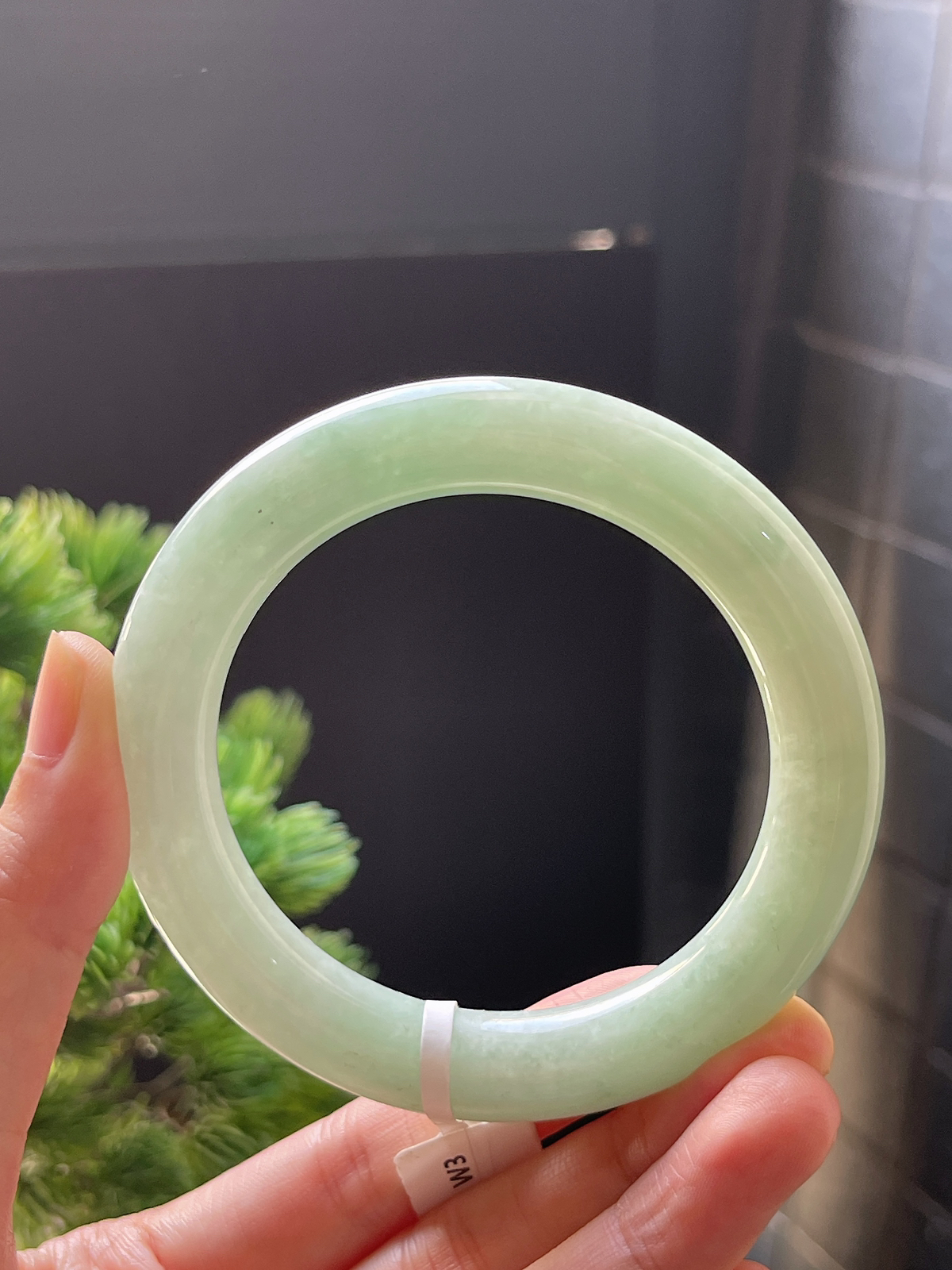 圆条55.5淡绿色手镯